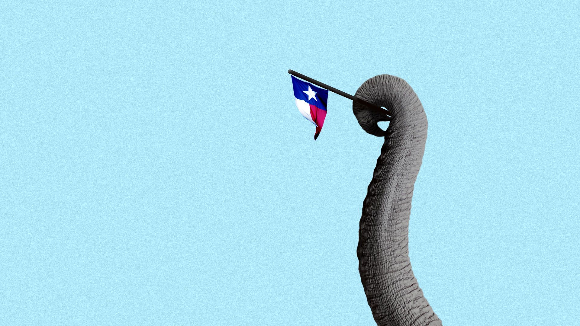 Illustration of an elephant trunk holding a small Texas state flag