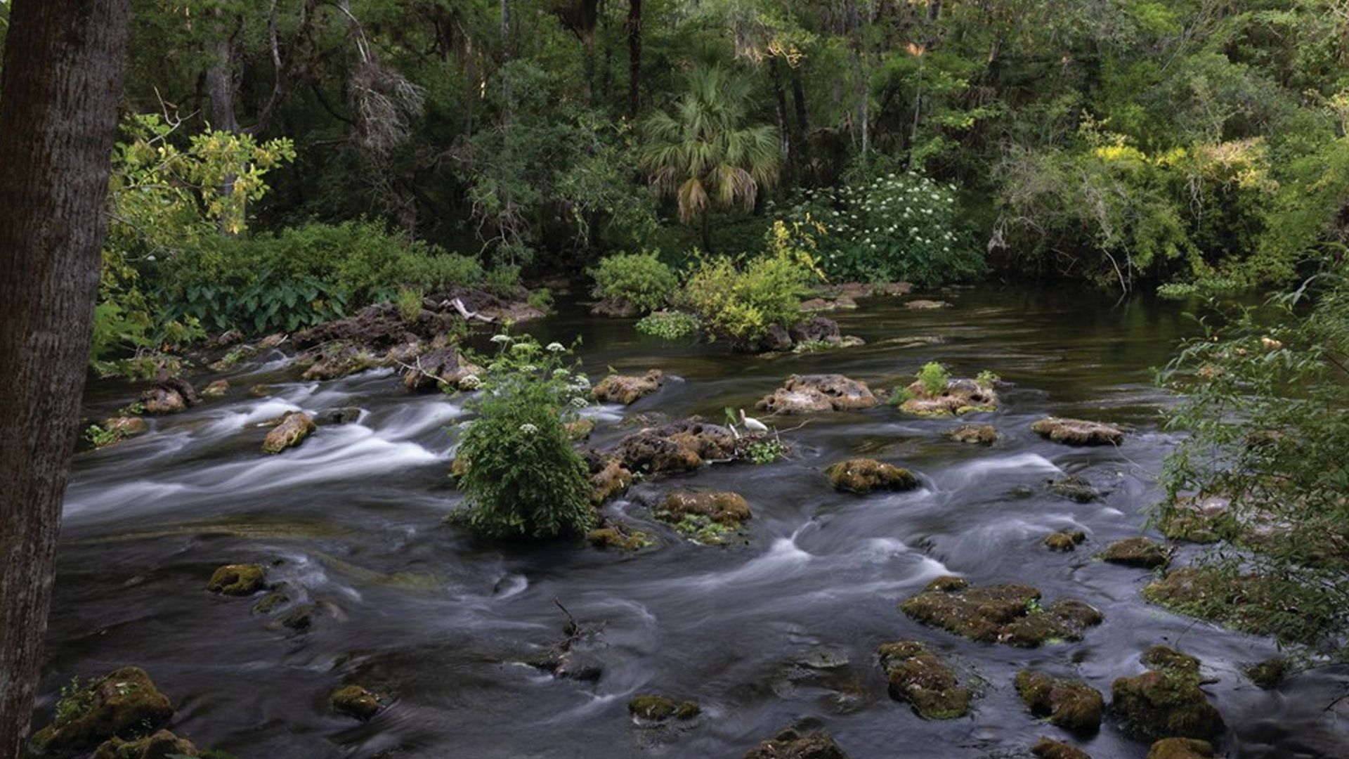 Hillsborough #39 s annual hiking spree is underway Axios Tampa Bay