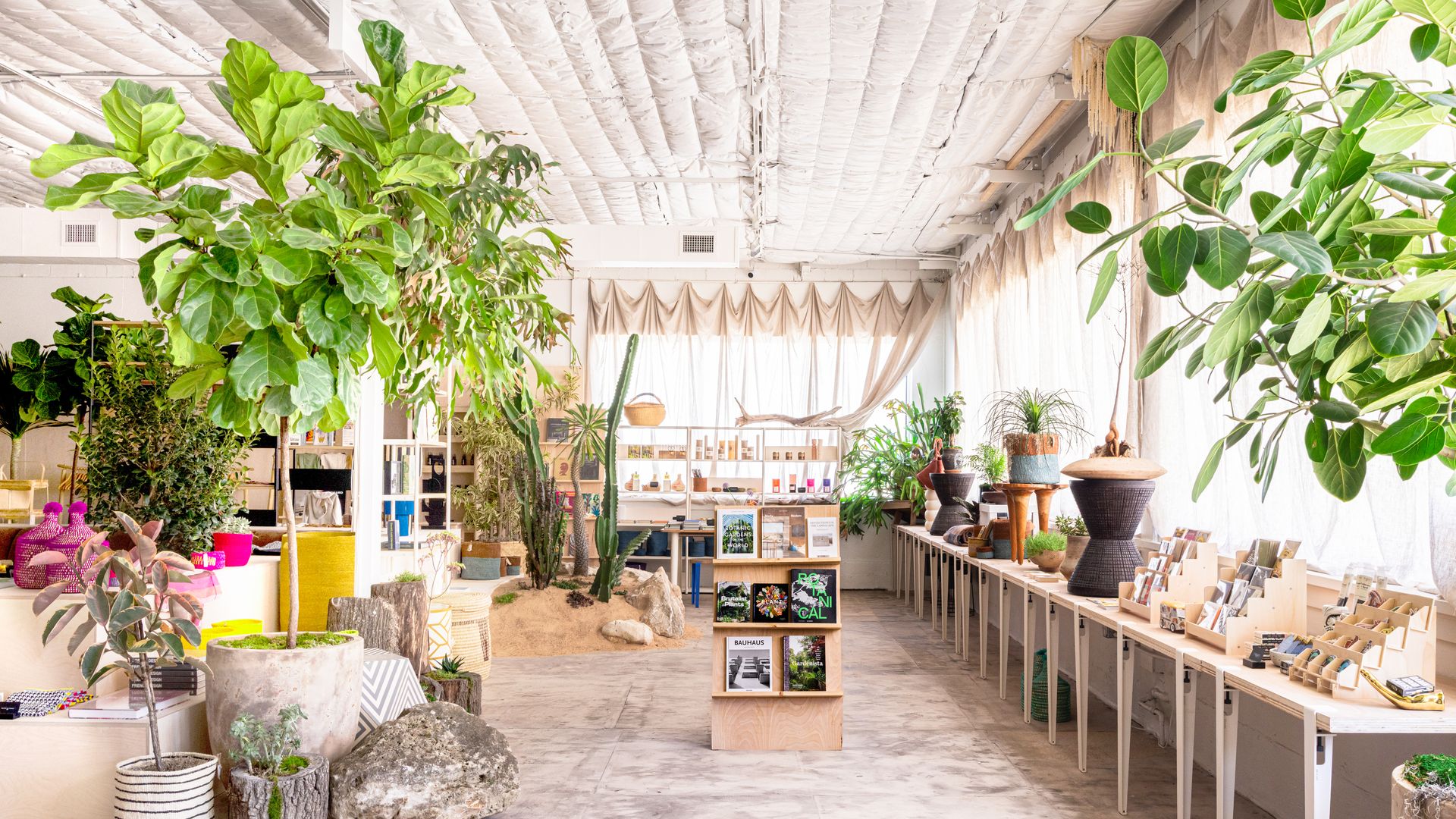 Bright indoor plant shop with tall green plants and large leafy foliage. Left shows potted trees in concrete pots; right has display tables, shelves, and magazines in a spacious, airy space.