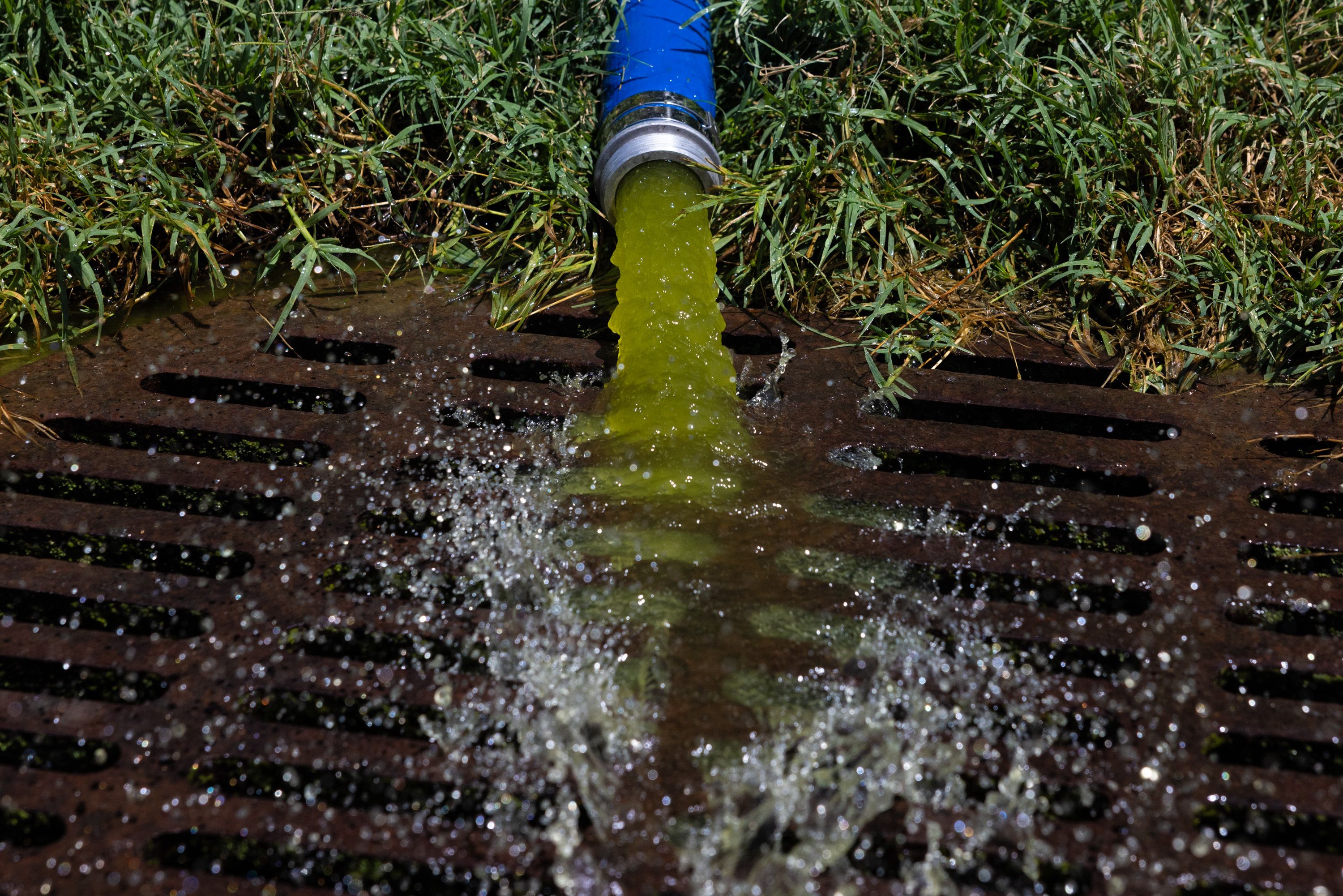 A close-up of green water coming out of a pipe