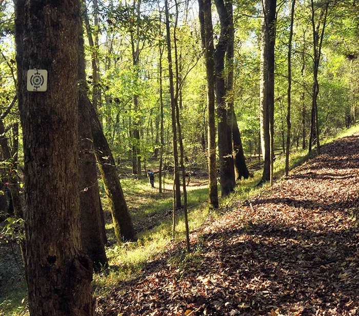 Pharr Family Preserve Trail - scenic