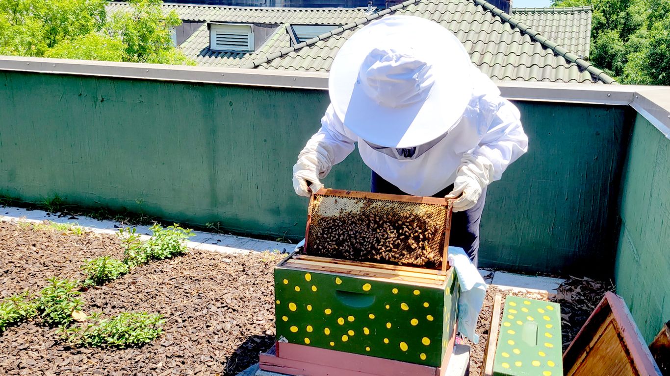 Atlanta teacher turns bees’ death into valuable lesson