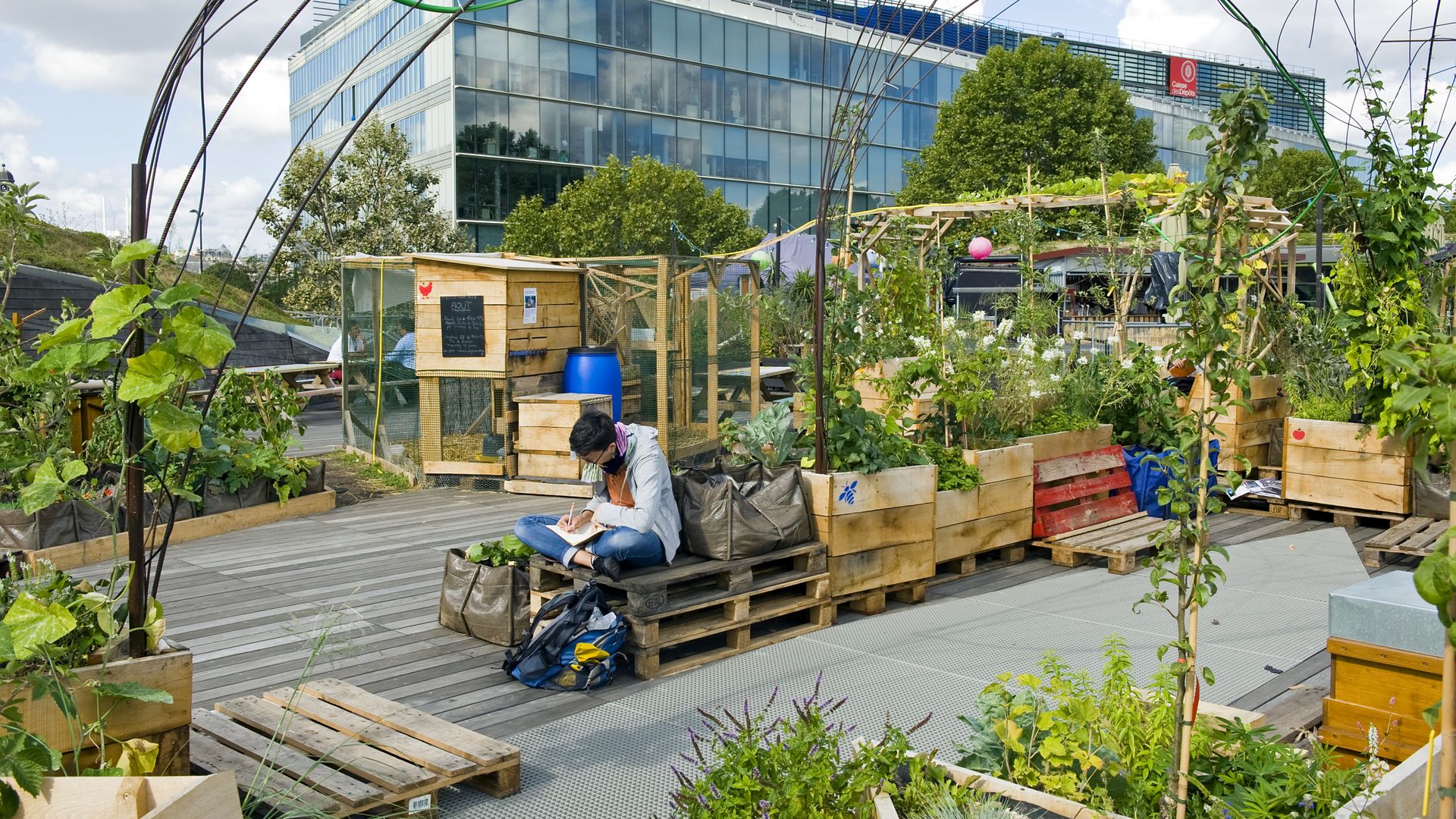 A green rooftop filled with plants.