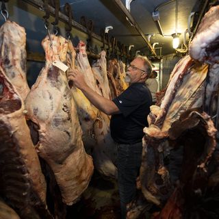 Trump orders Justice Department probe of meatpackers over prices