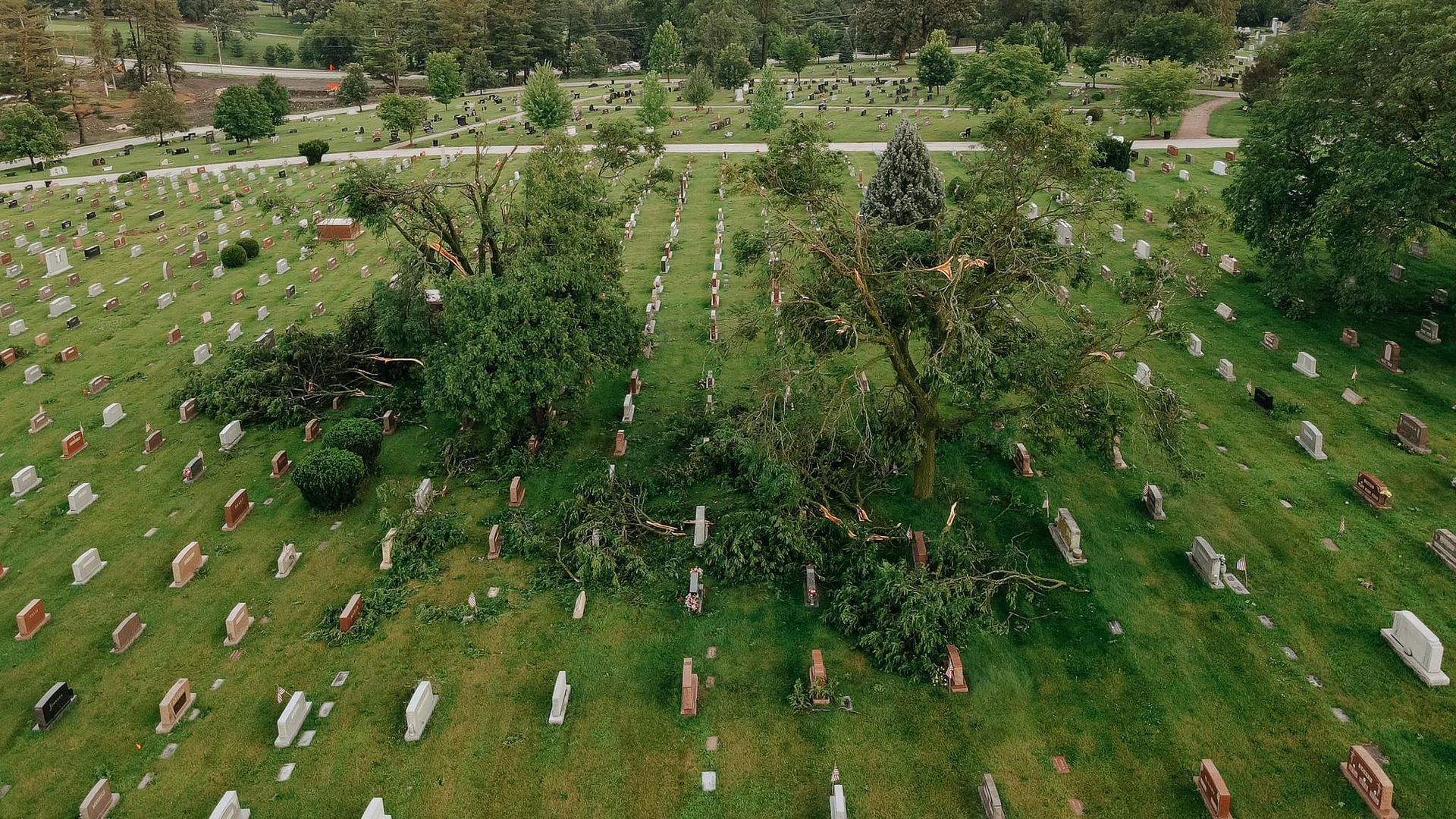 Trees fallen at Glendale Cemetery