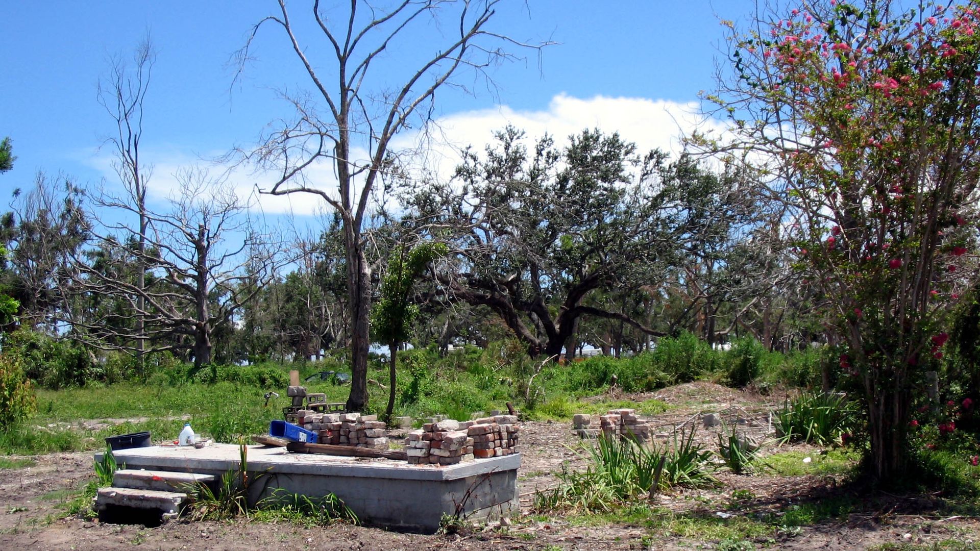 Outdoor scene with a concrete slab foundation surrounded by stacks of bricks, green vegetation, bare and leafy trees under a bright blue sky with some clouds.