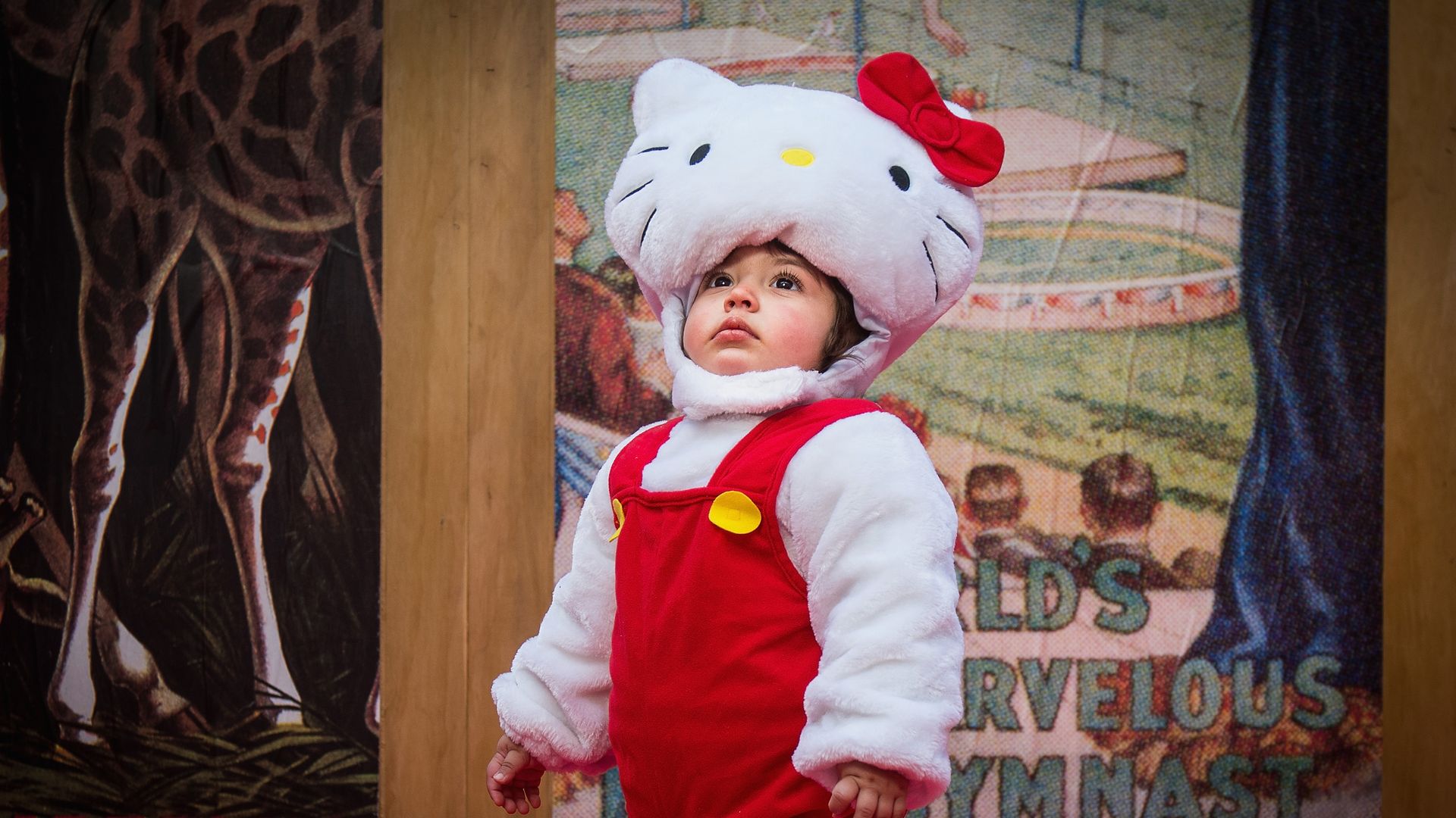 A child in a hello kitty costume