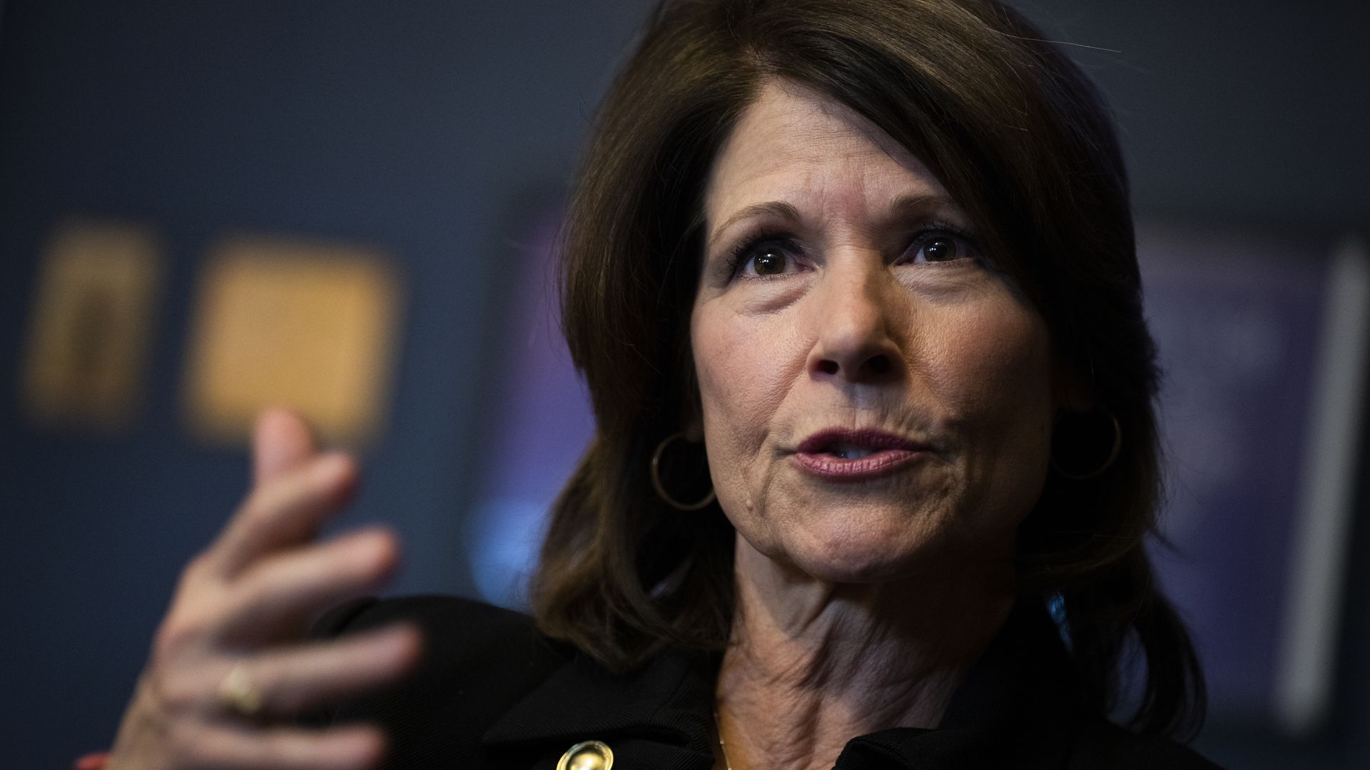 Former Rep. Cheri Bustos