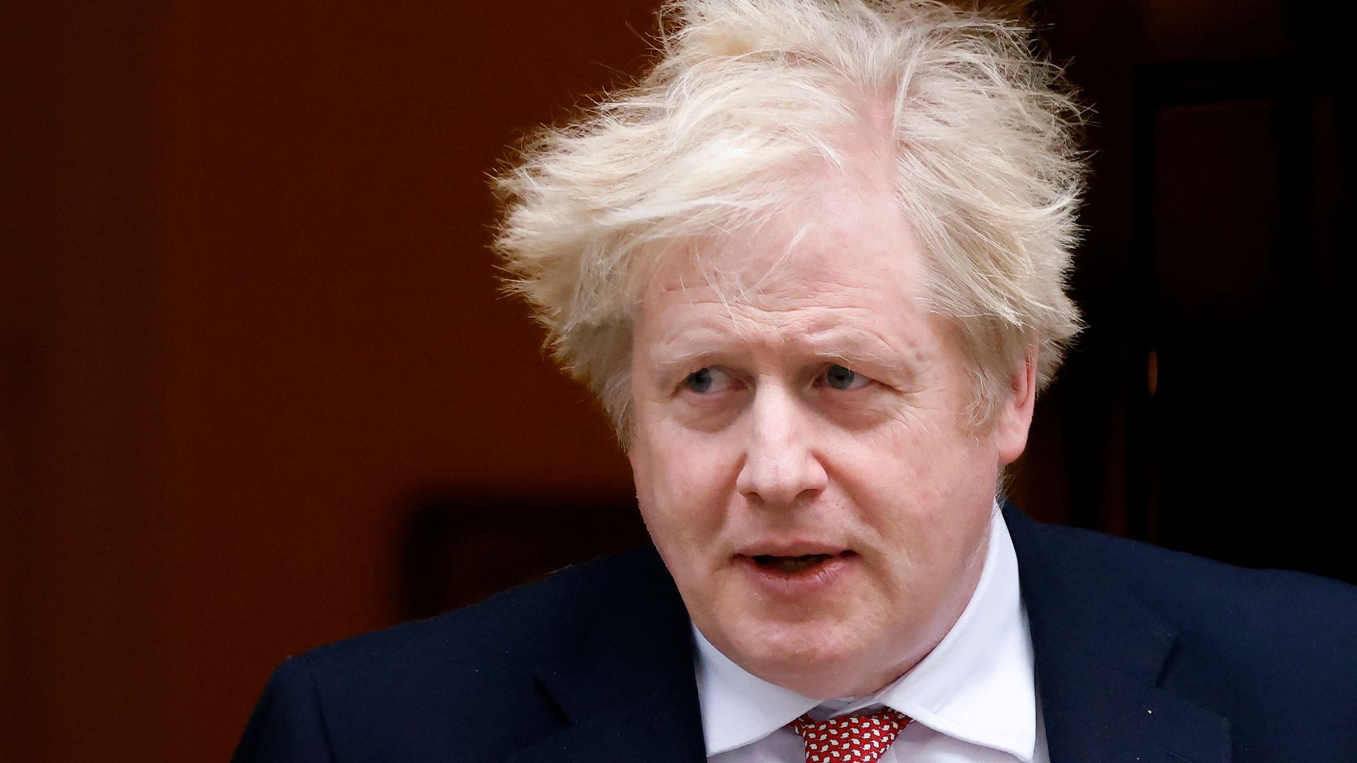 Photo of Boris Johnson's face and fluffy hair