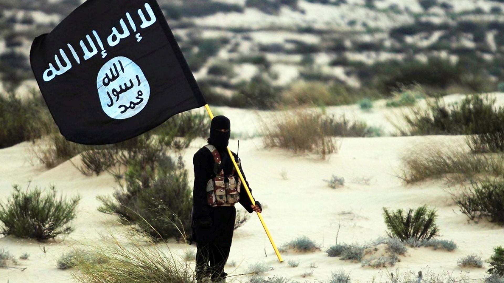 A masked Islamic State soldier poses holding the ISIL banner somewhere in the deserts of Iraq or Syria. ISIL publicity image, 2015. 