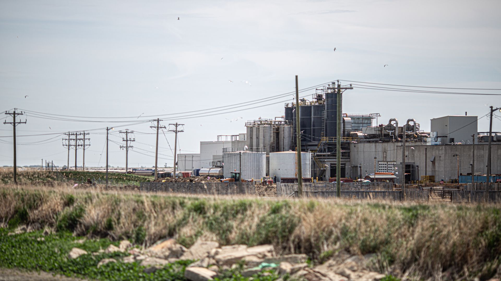 The JBS beef plant in Brooks, Alberta, Canada, on June 1.
