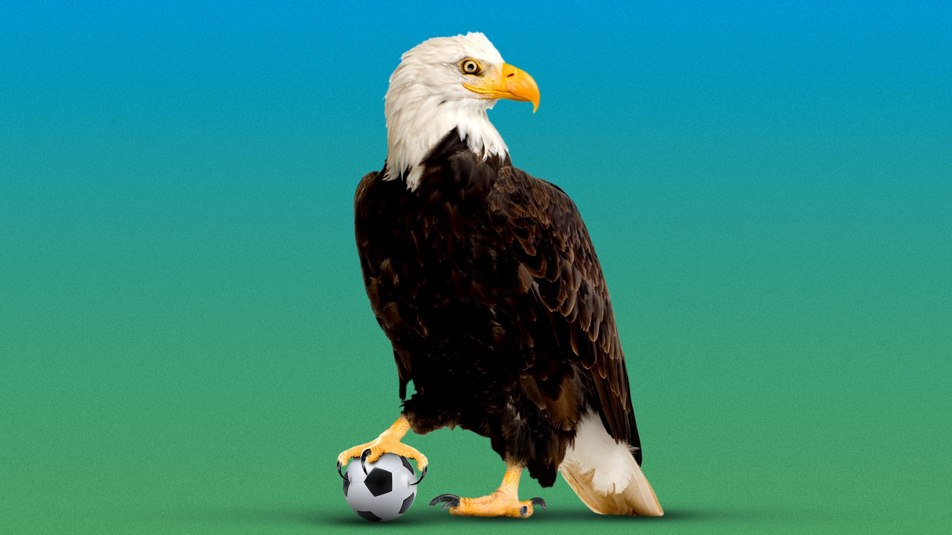 Illustration of a smiling bald eagle with one claw resting on a soccer ball.
