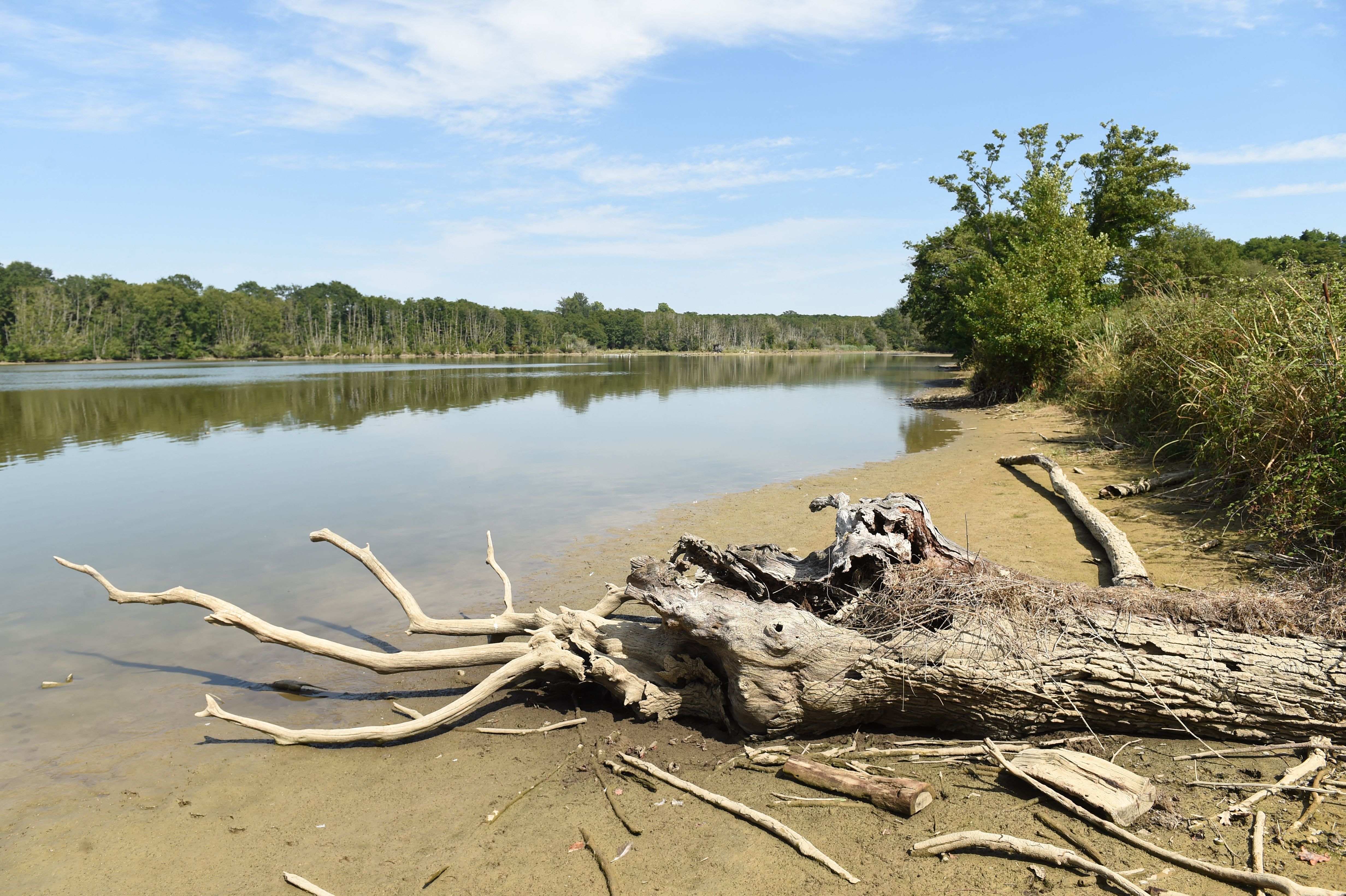 This photograph taken on August 9, 2022 shows a partially dried pond near Aire-sur-Adour, southwestern France. 