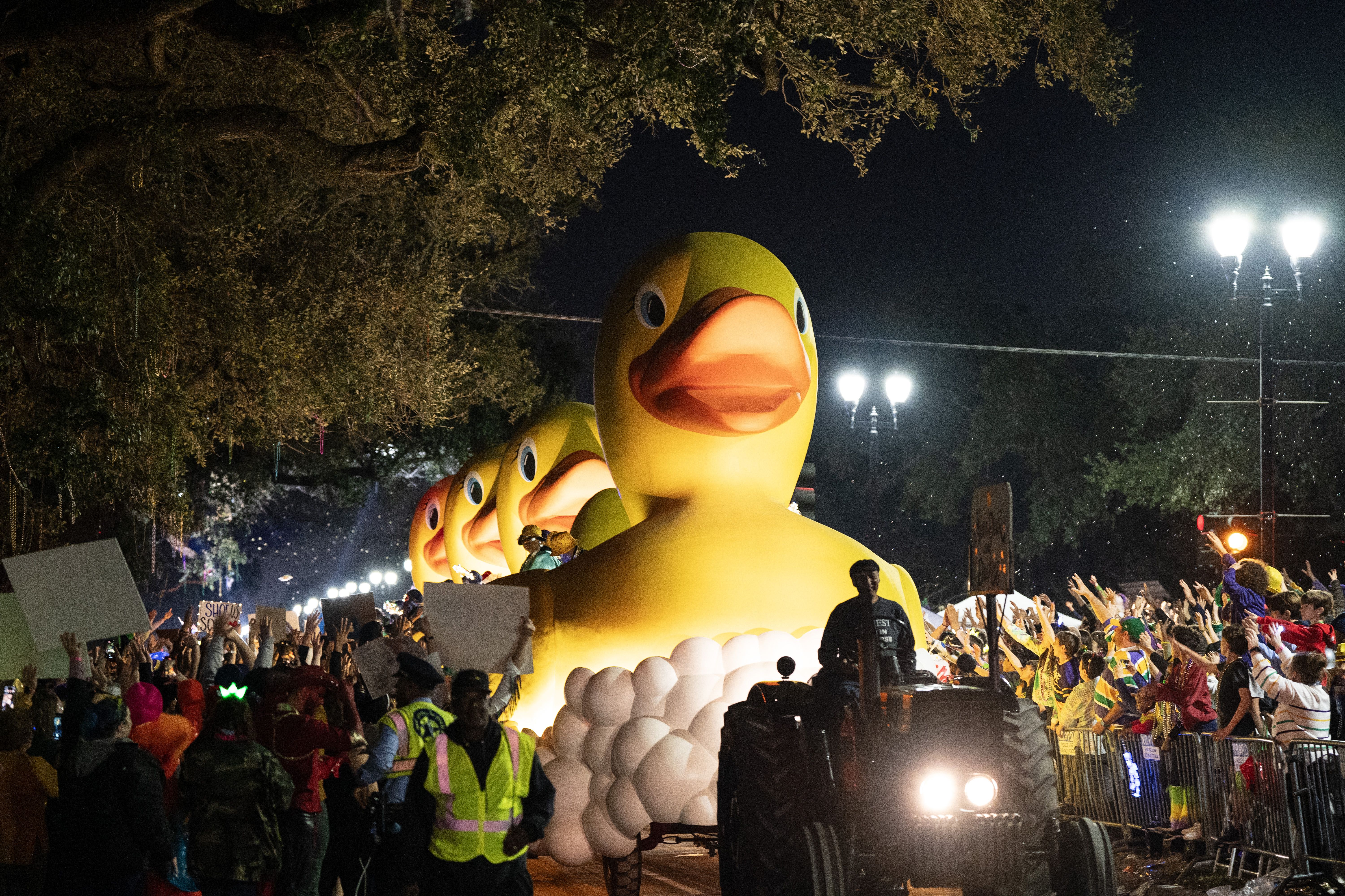Photo shows the rubber duck floats in the Krewe of Muses parade