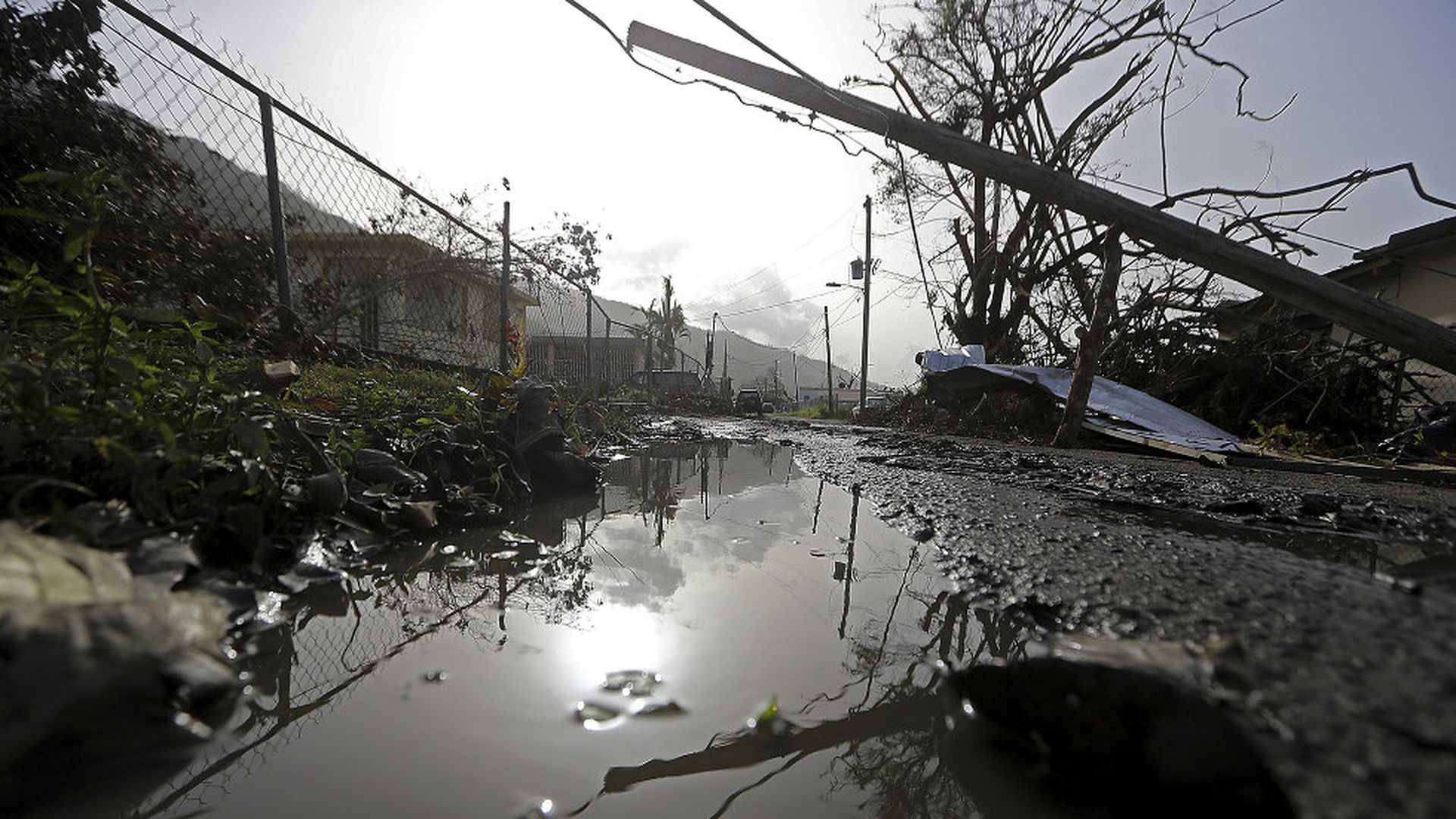 He Photographed What Hurricane Maria 'Couldn't Take Away' From His