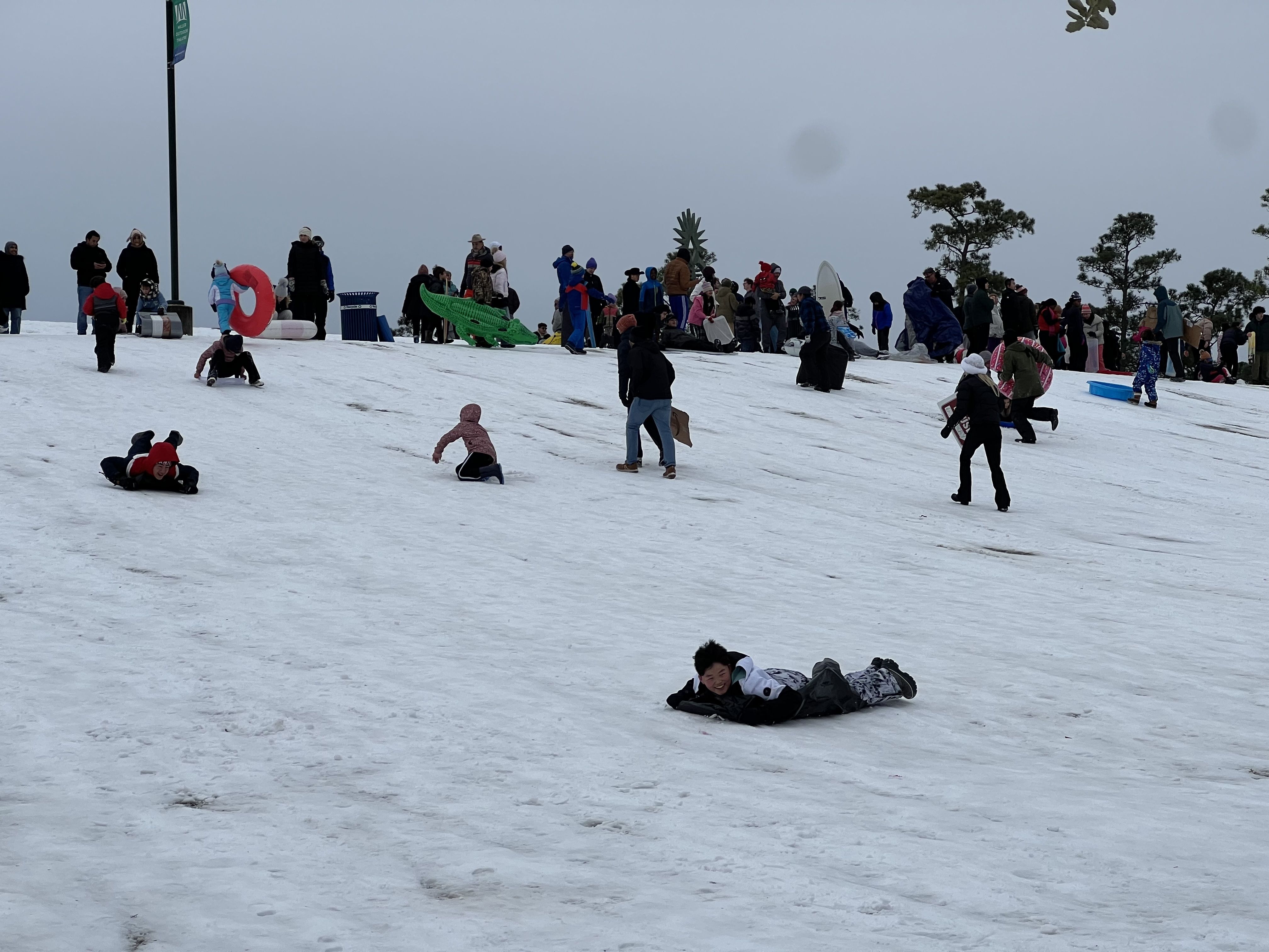 People sled down a hill at Hermann Park