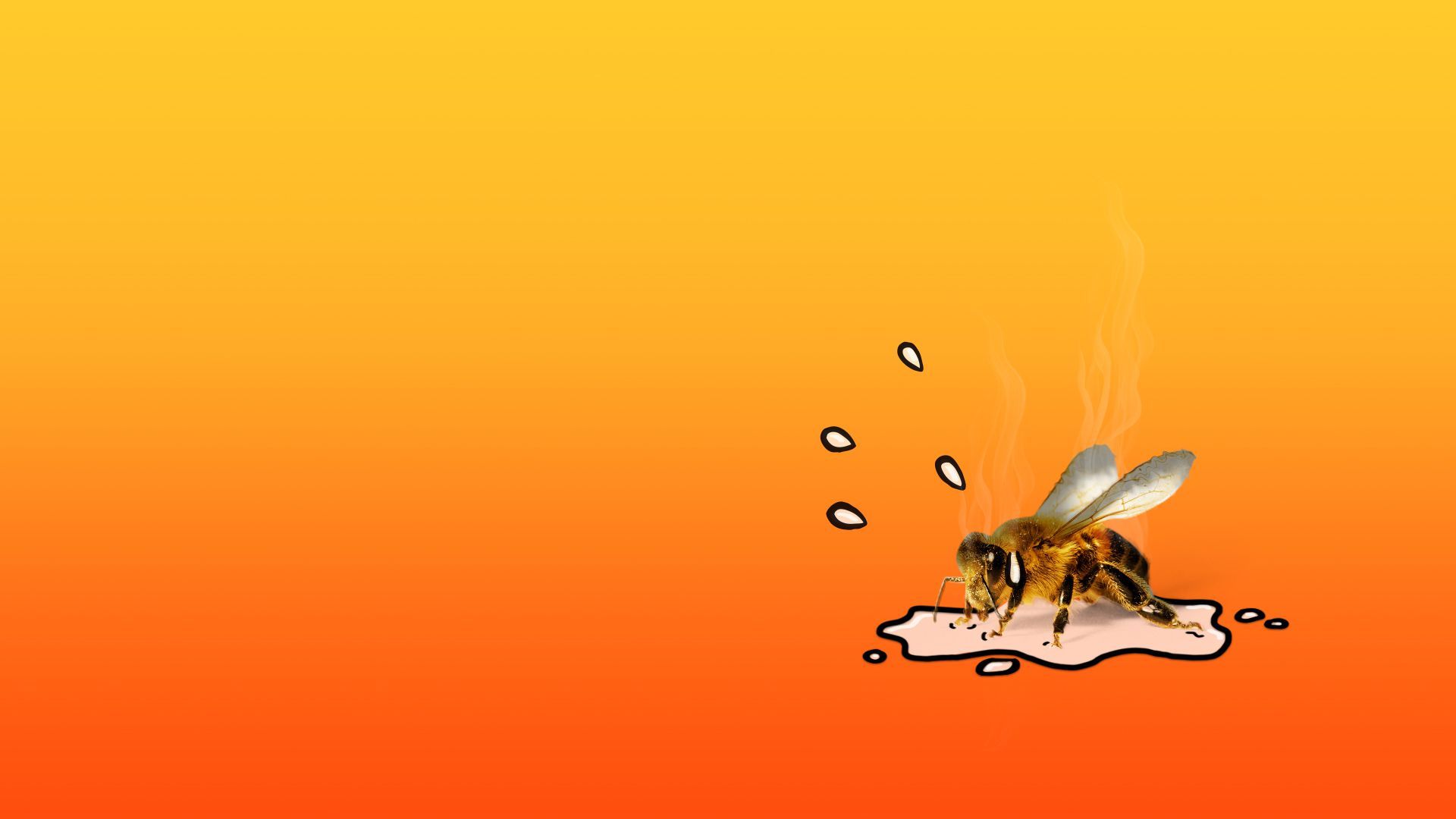 Illustration of a bee sweating and overheating. 