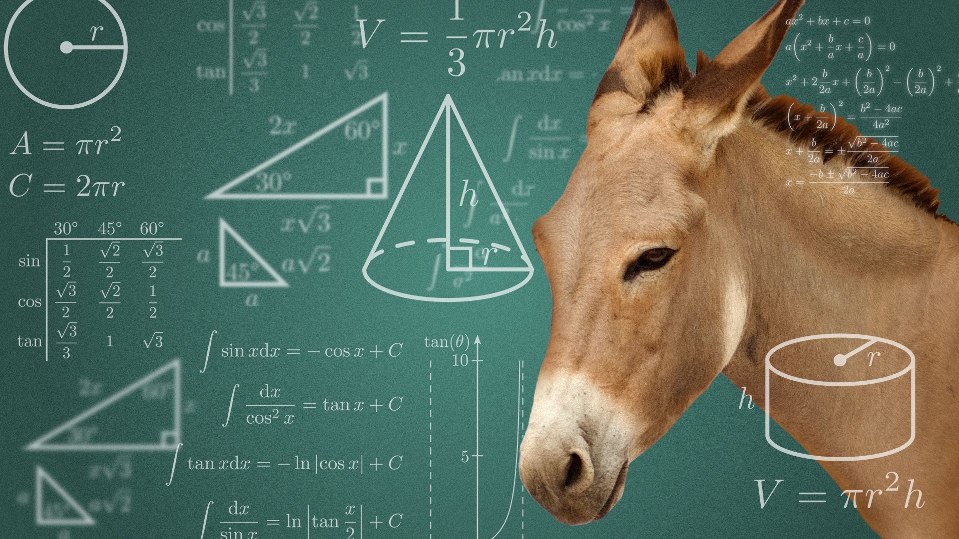 Illustration of a donkey surrounded by mathematical formulas. 