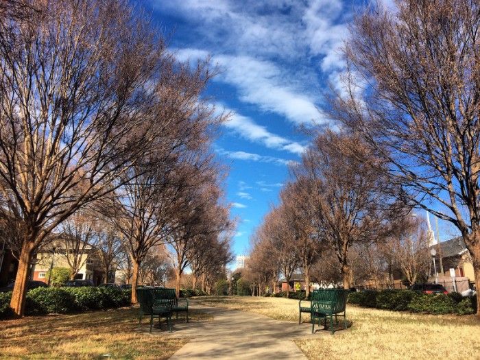 first ward charlotte