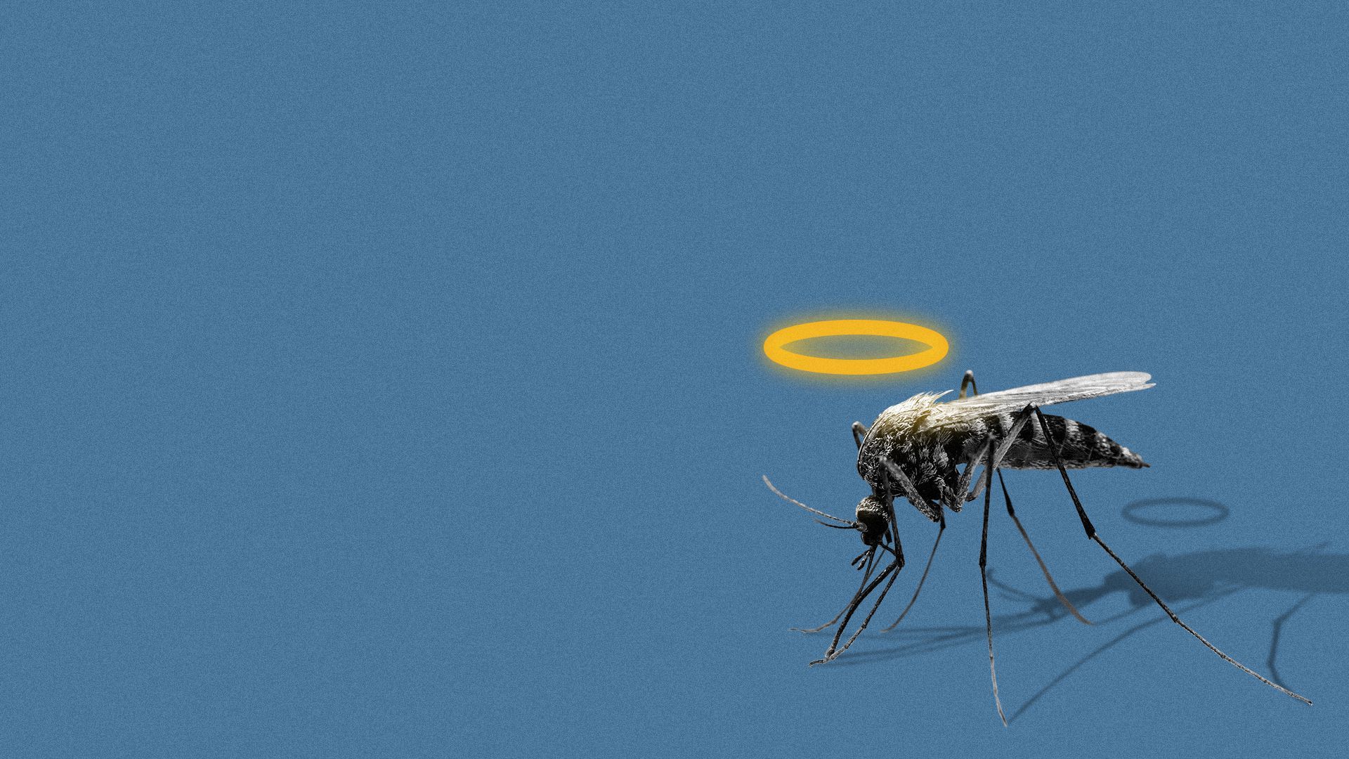 Illustration of a mosquito with a halo.