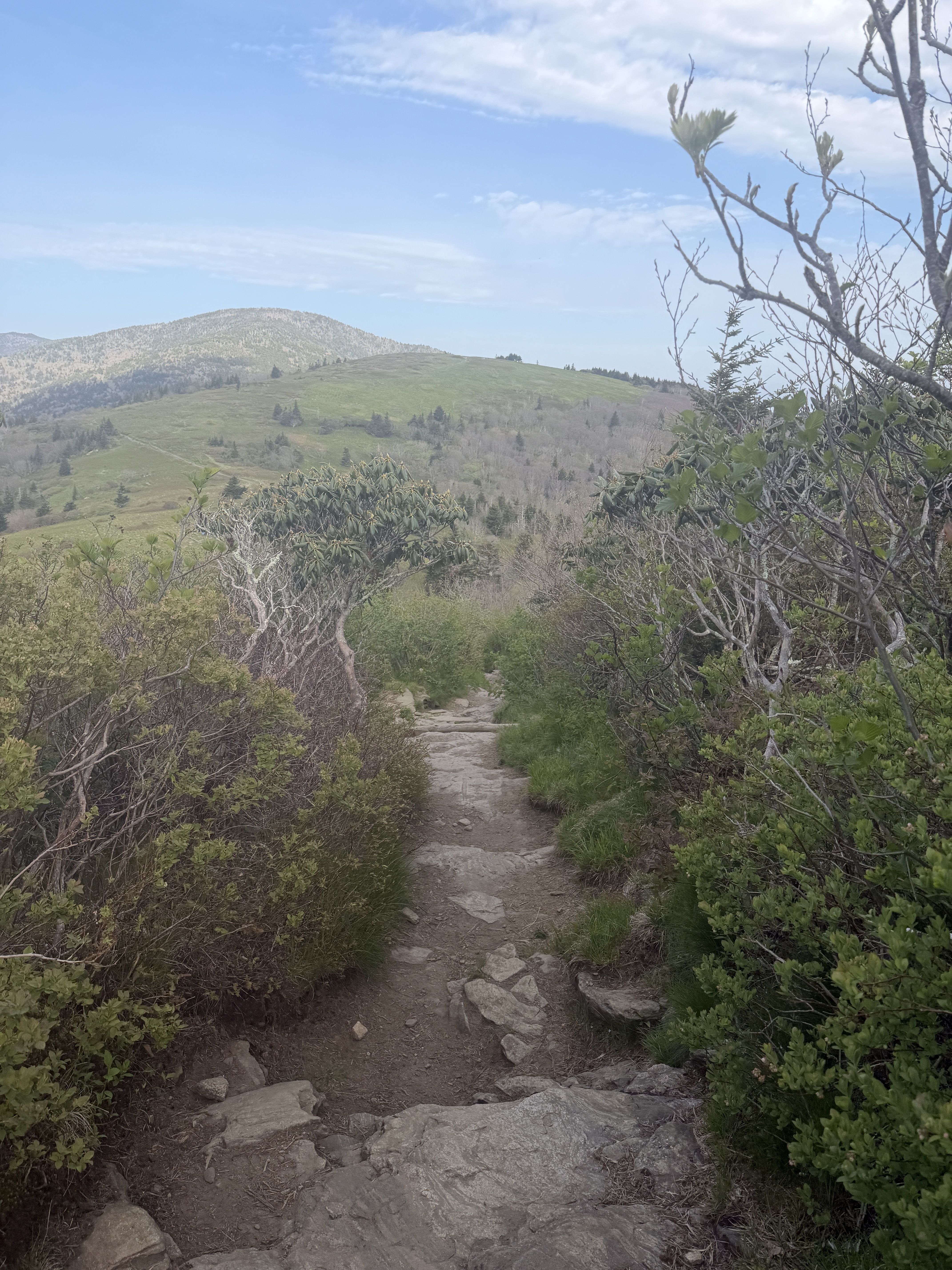 A rocky dirt trail winds through scrubby bushes on a hillside, leading toward distant green fields and rolling hills beneath a bright blue sky.