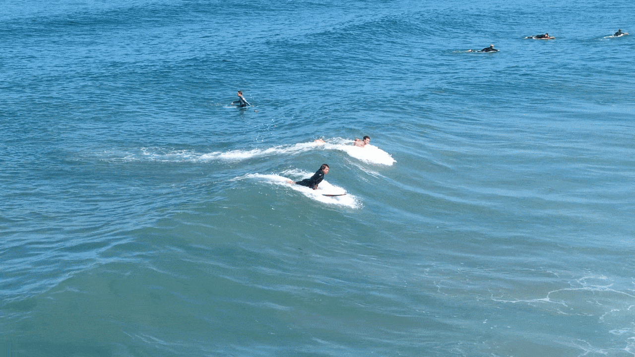 axios.com - Claire Trageser - San Diego has a new AI tool to plan your next visit