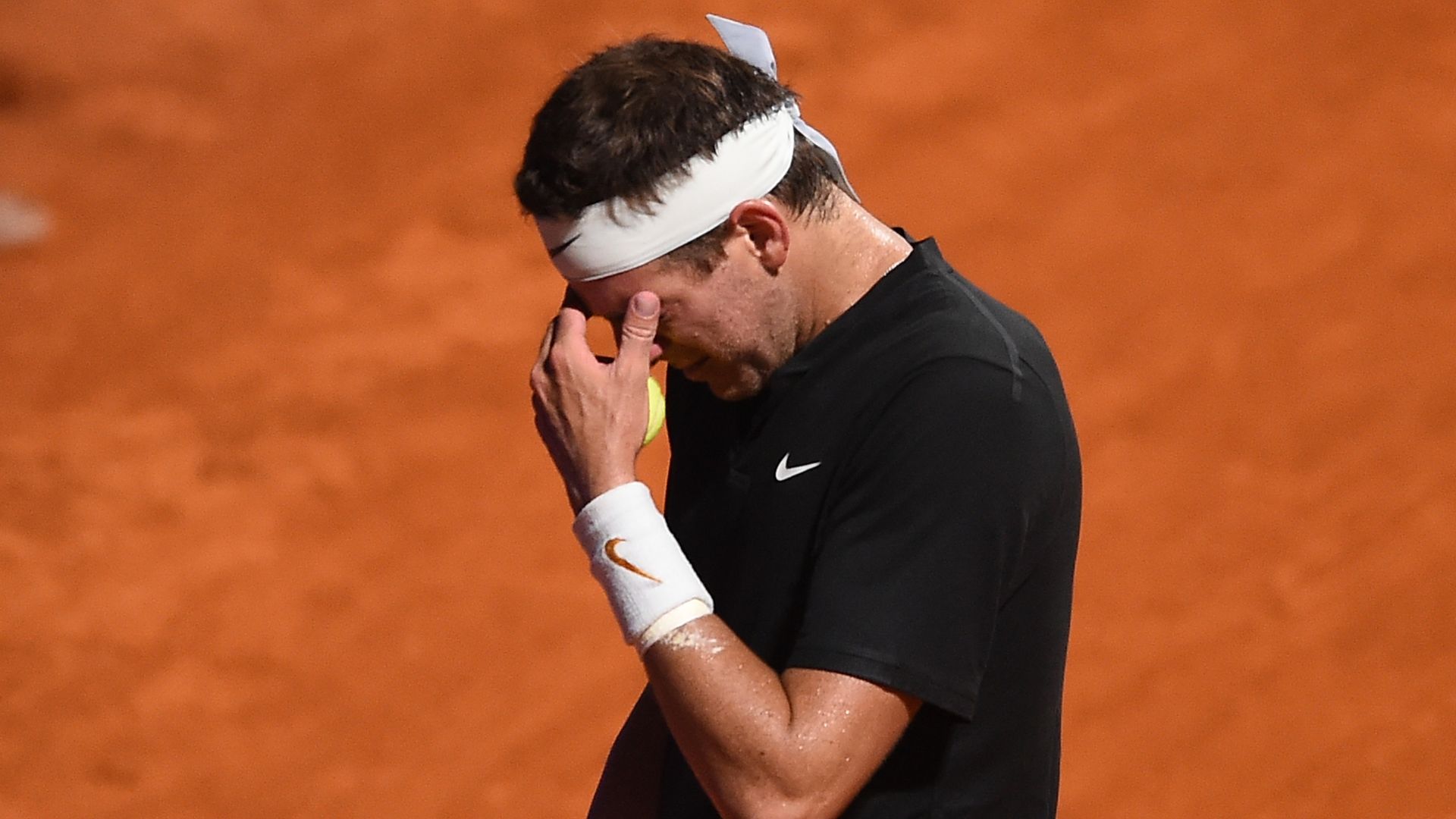 Juan Martin del Potro