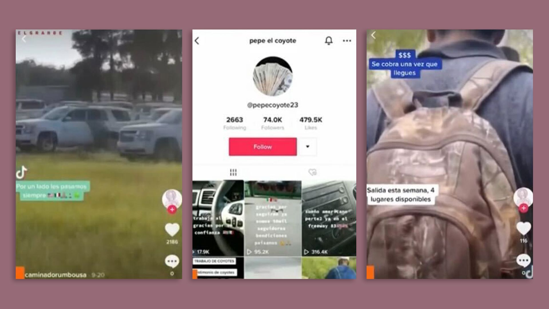 Screenshots of smugglers recruiting on social media.