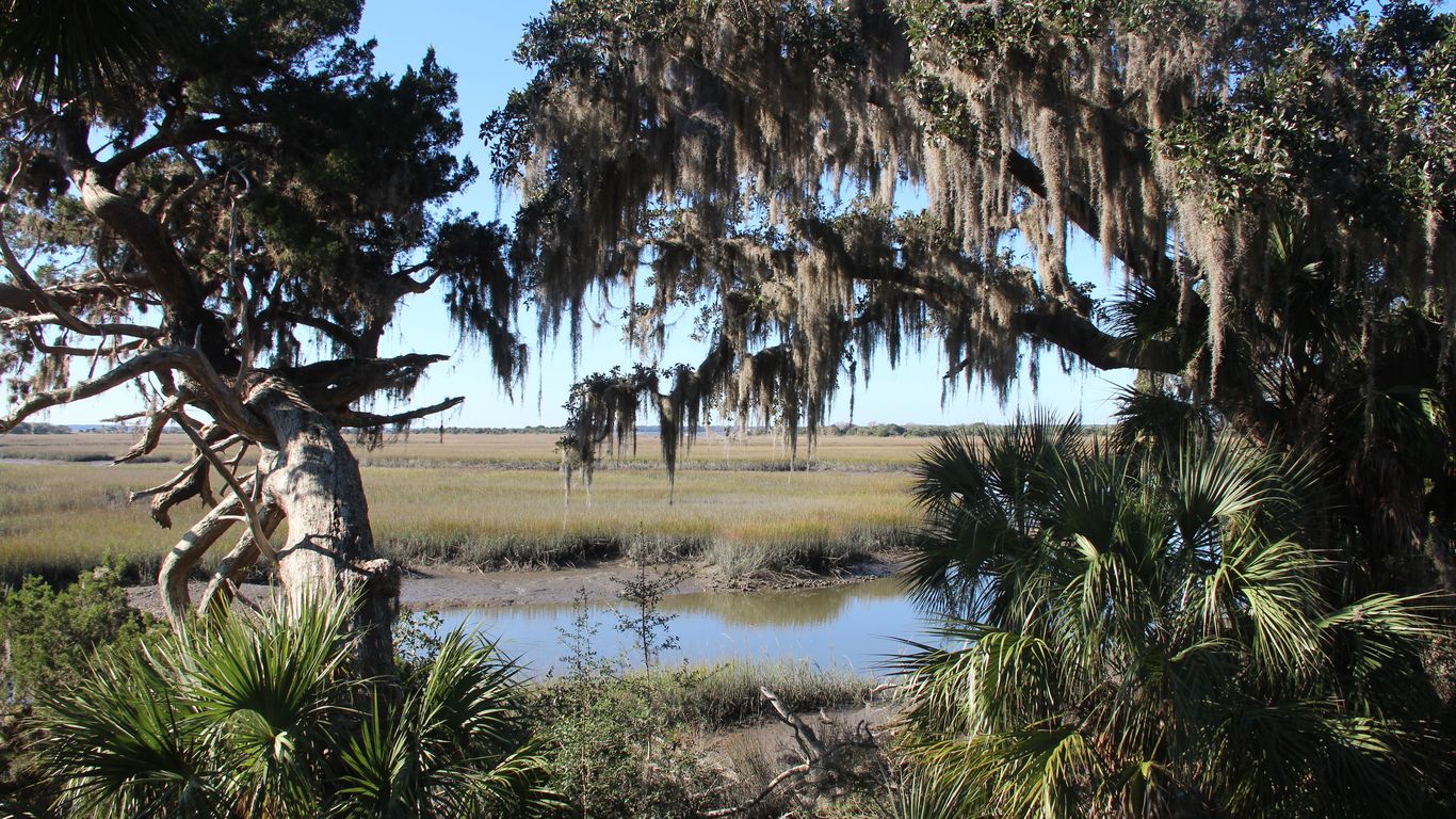 Fiveish Points Cumberland Island controversy Axios Atlanta