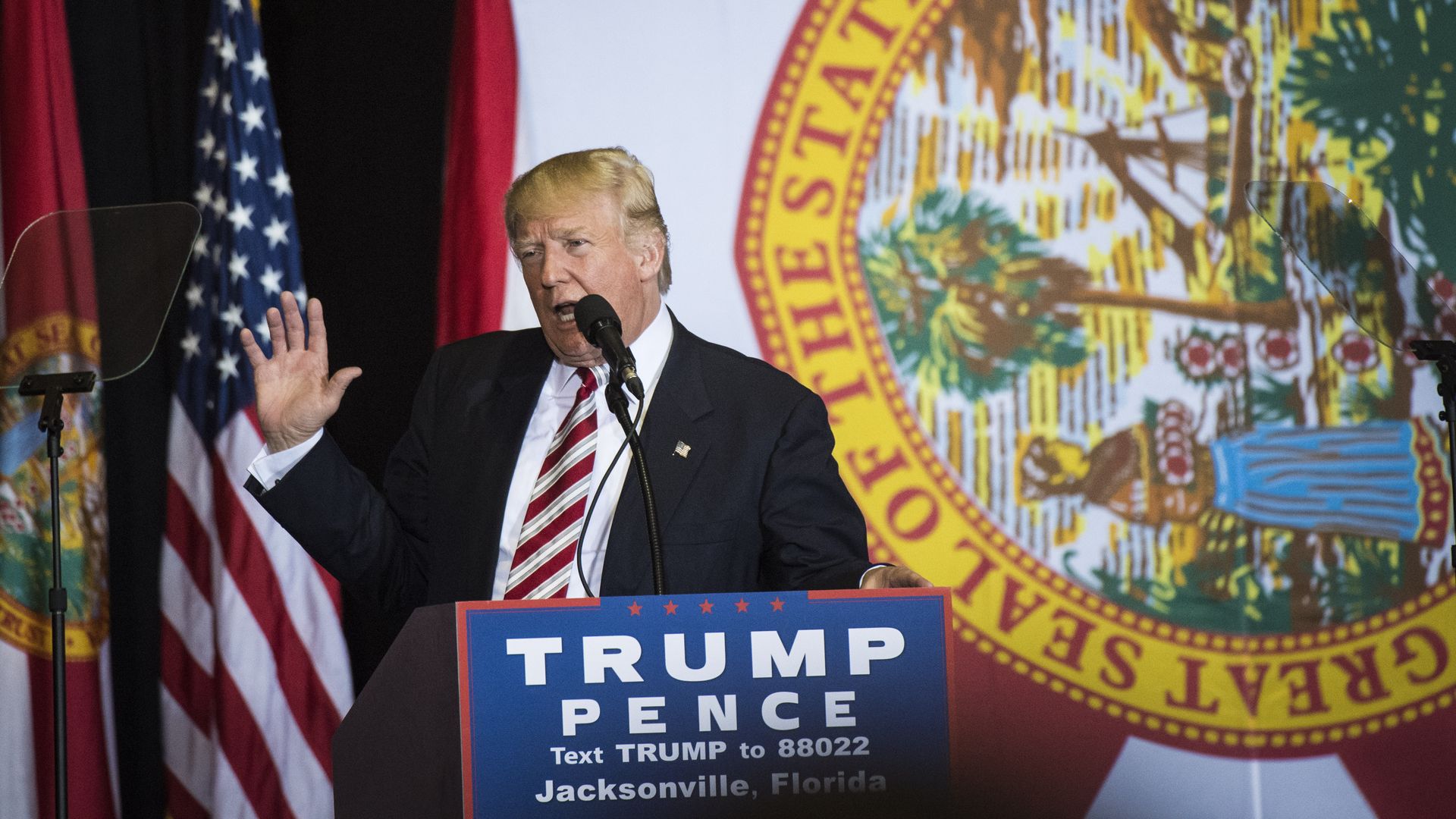 Trump at a Jacksonville rally in 2016. Photo: Jabin Botsford/The Washington Post via Getty Images