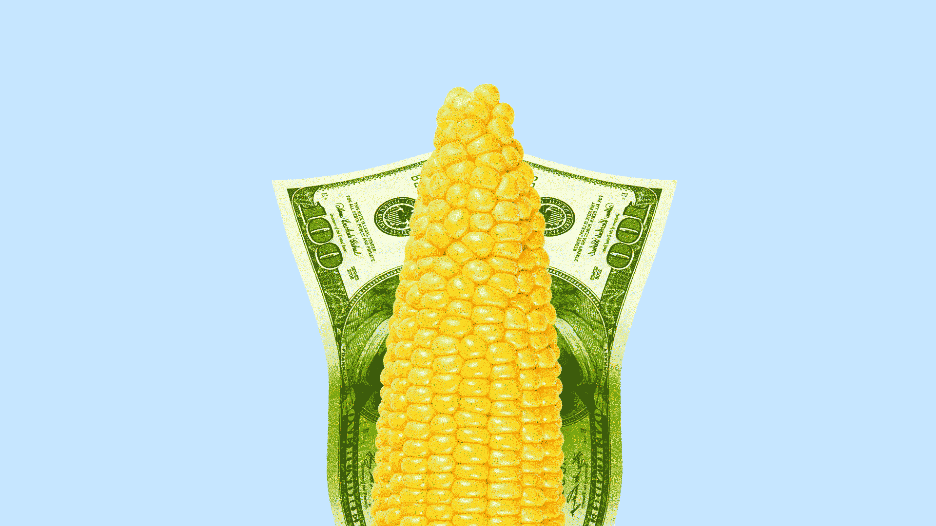 Illustration of corn with bills as the husk falling away