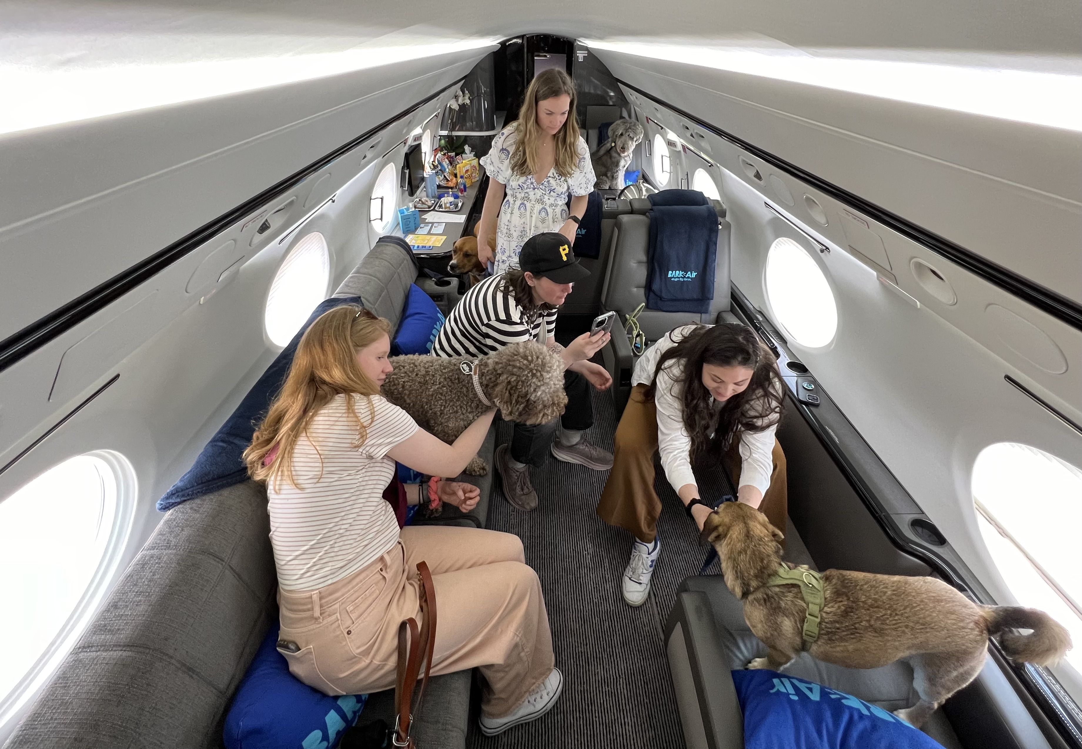 Dogs and people crowd the cabin of a small jet.