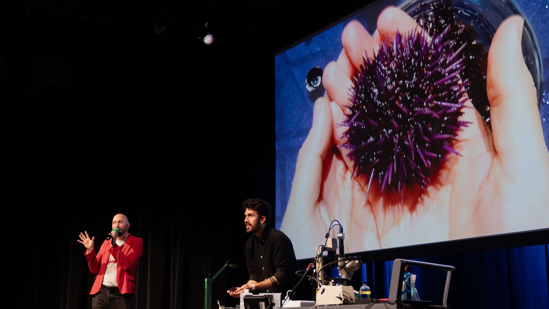 Two men on stage during a presentation; one speaks into a microphone wearing a red jacket, the other shows a purple sea urchin on a large screen behind them. Equipment and cables on tables.