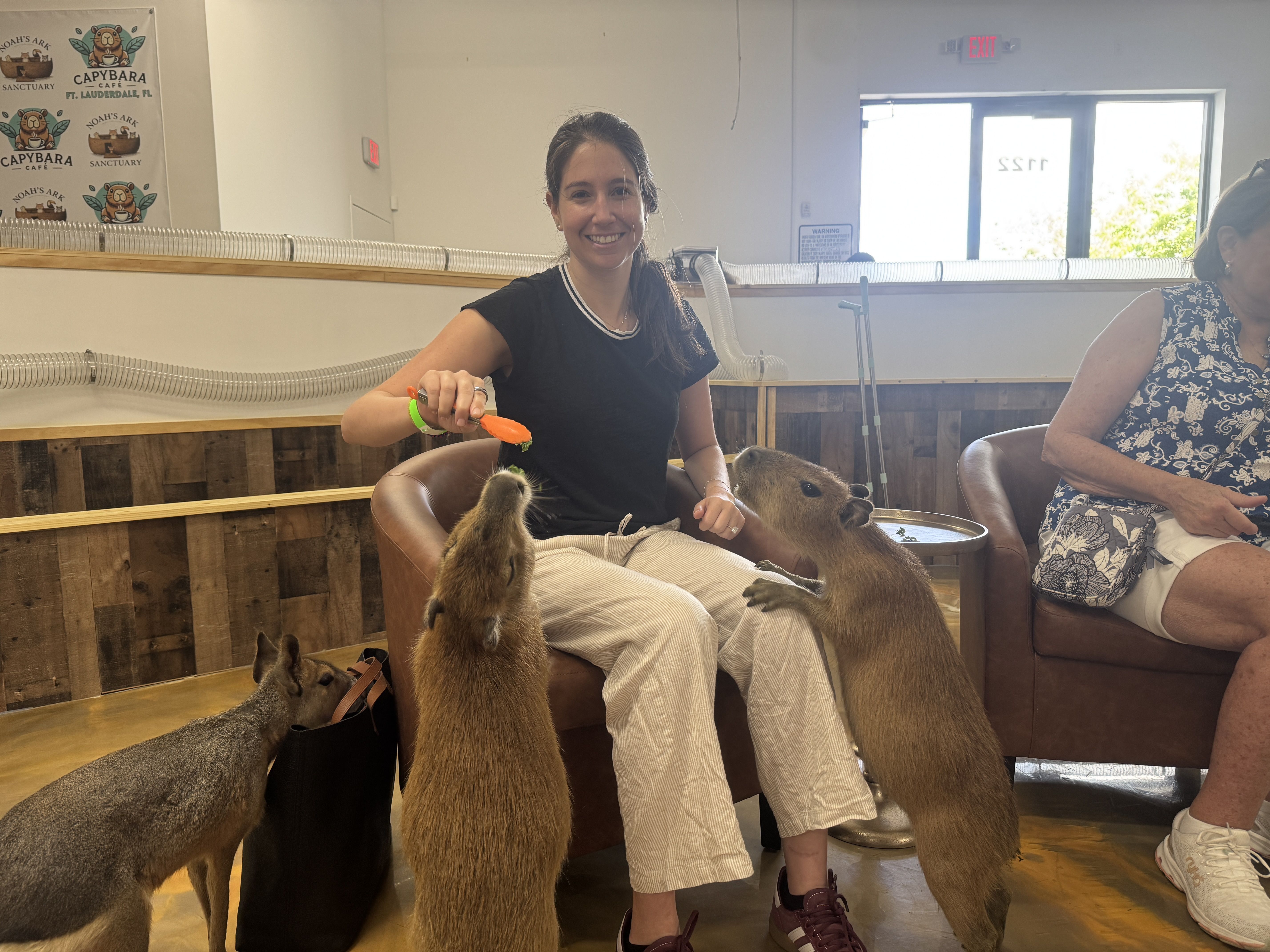 Naomi Feinstein smiling in a black shirt feeds orange carrot slices to several squirrels climbing her legs in an indoor cafe; wood-paneled walls, metal tubing along the counter, and a bright window in the background.