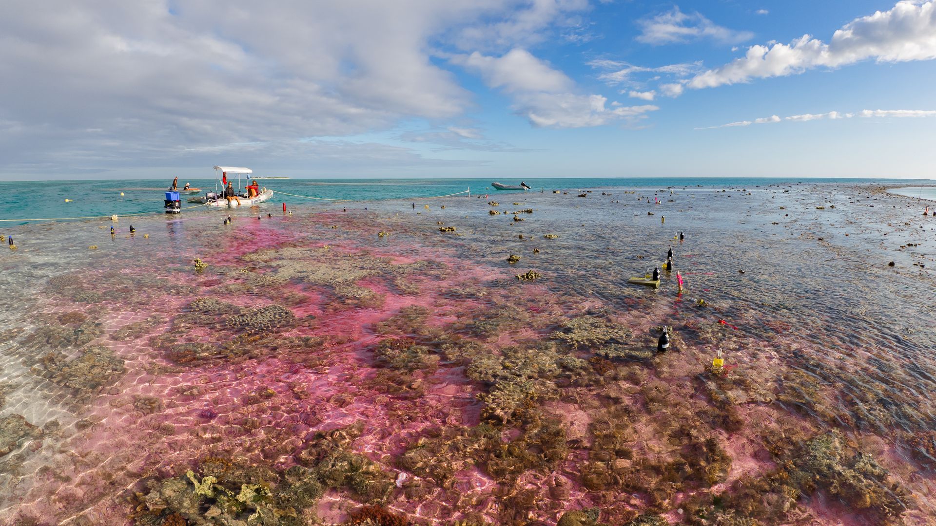 Experimental plume of carbon dioxide-enriched seawater and a dye tracer flowing across a coral reef flat in Australia's Great Barrier Reef. 