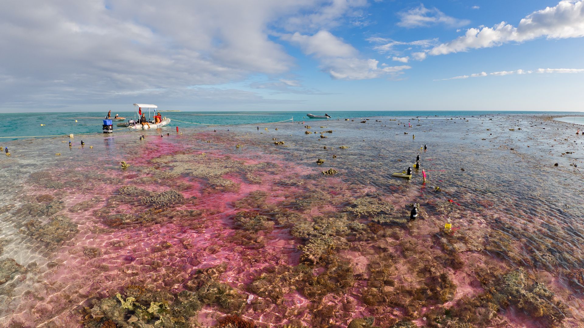 Experimental plume of carbon dioxide-enriched seawater and a dye tracer flowing across a coral reef flat in Australia's Great Barrier Reef.