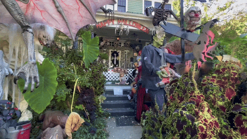 One of Raleigh's best Halloween houses