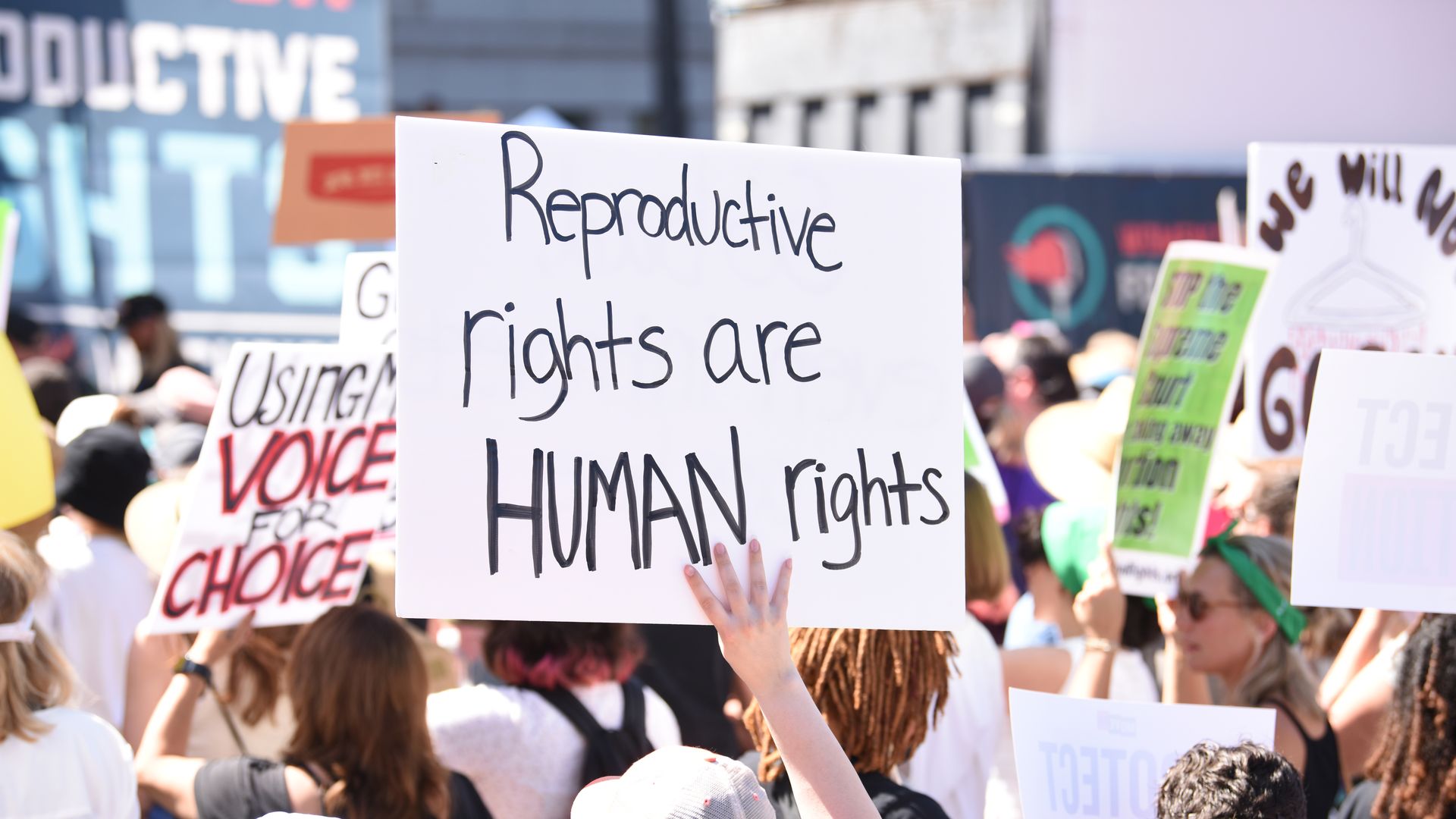 Photo of a person holding up a sign that says "Reproductive rights are human rights" at a protest 