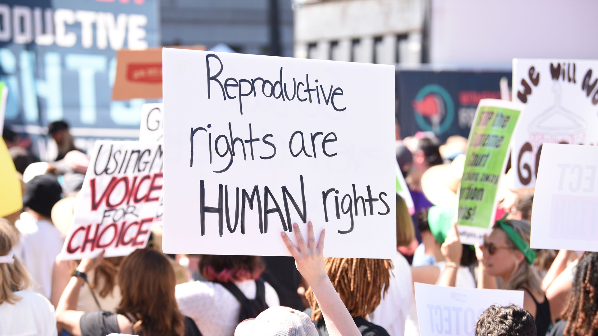 Photo of a person holding up a sign that says "Reproductive rights are human rights" at a protest