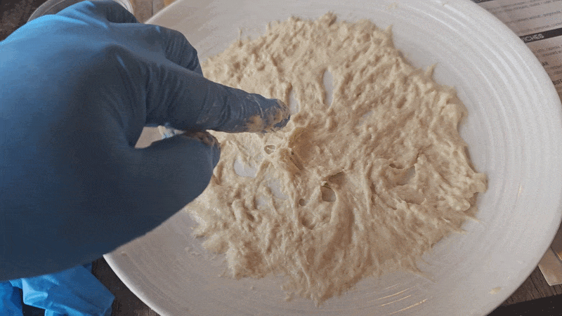 A gloved hand poking dough spread too thin across a plate.
