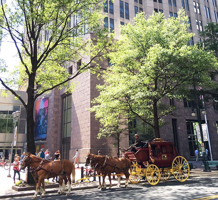 wells-fargo-coach-charlotte