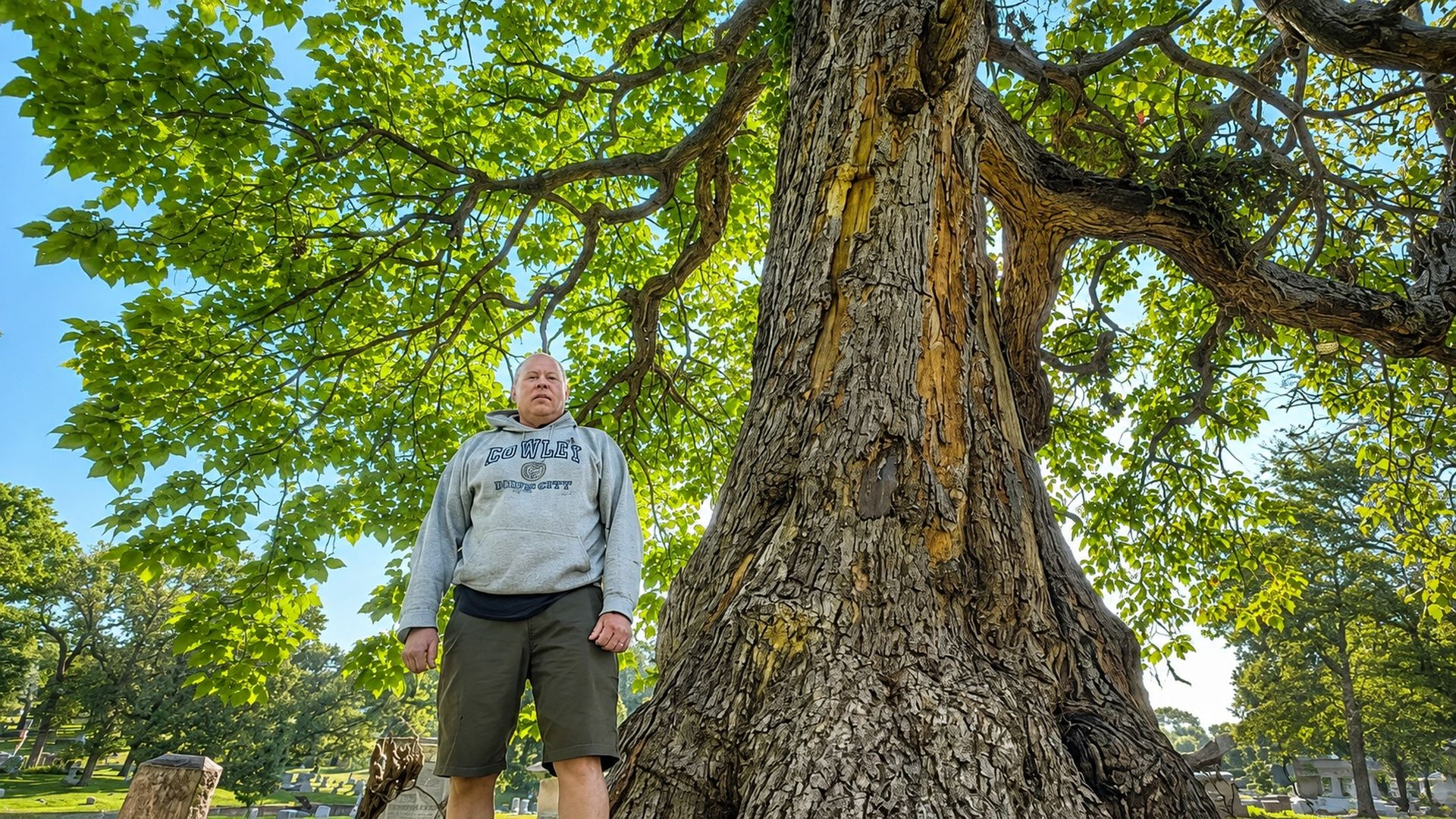 Man in a gray hoodie and olive shorts stands beside a huge, textured tree trunk in a sunny park; bright green leaves frame the scene, with a cemetery and blue sky in the background.