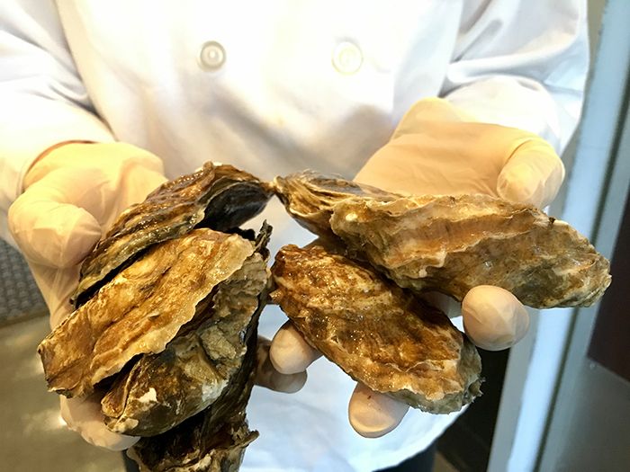 oysters-at-clean-catch-myers-park