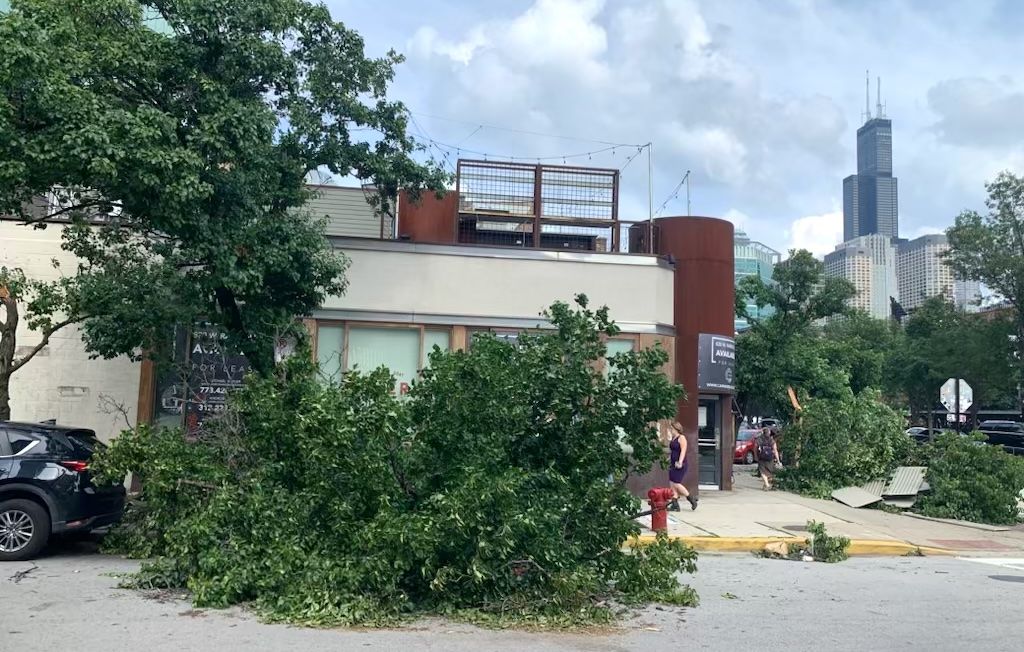 Tree down in front of closed diner with Sears Tower in the background.