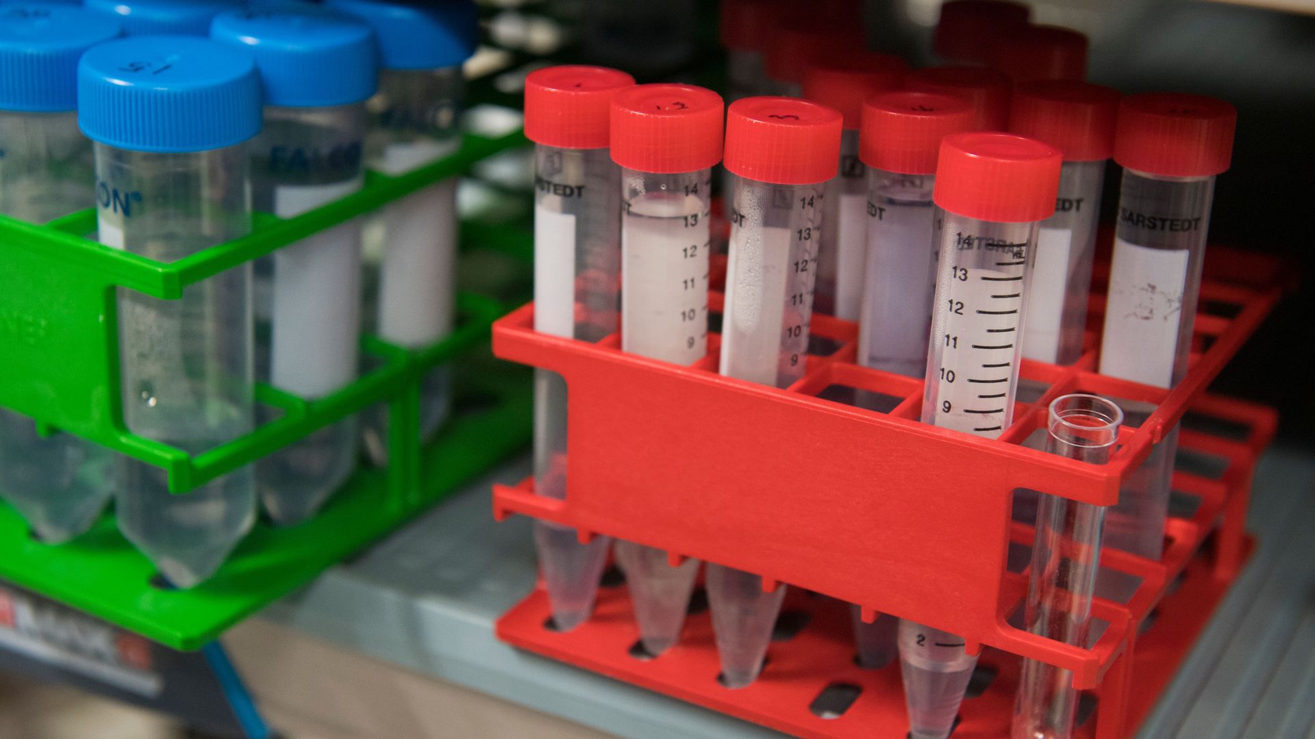 Test tubes arranged on a table in a federal lab.