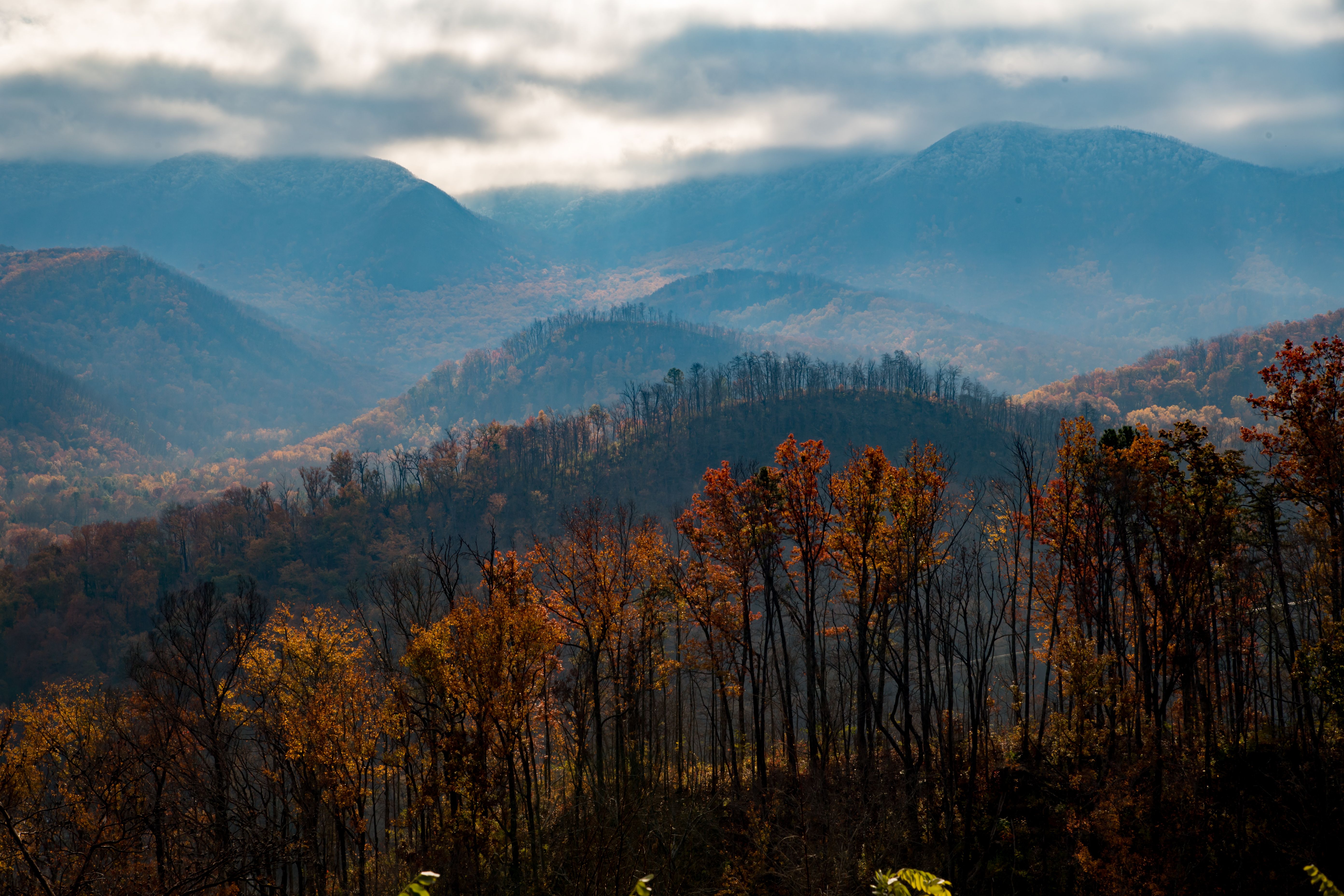 Great Smoky Mountains still the nation's top park - Axios Nashville