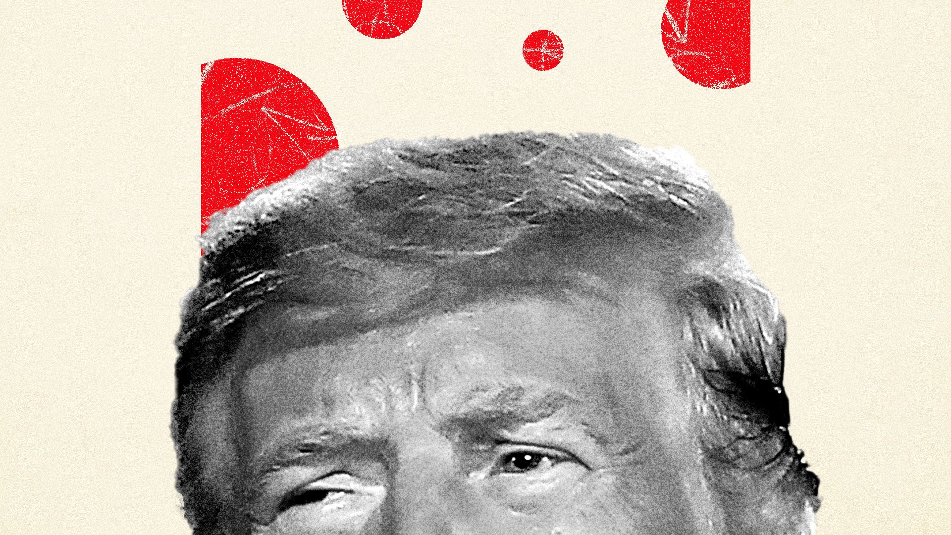 Trump with circles above his head