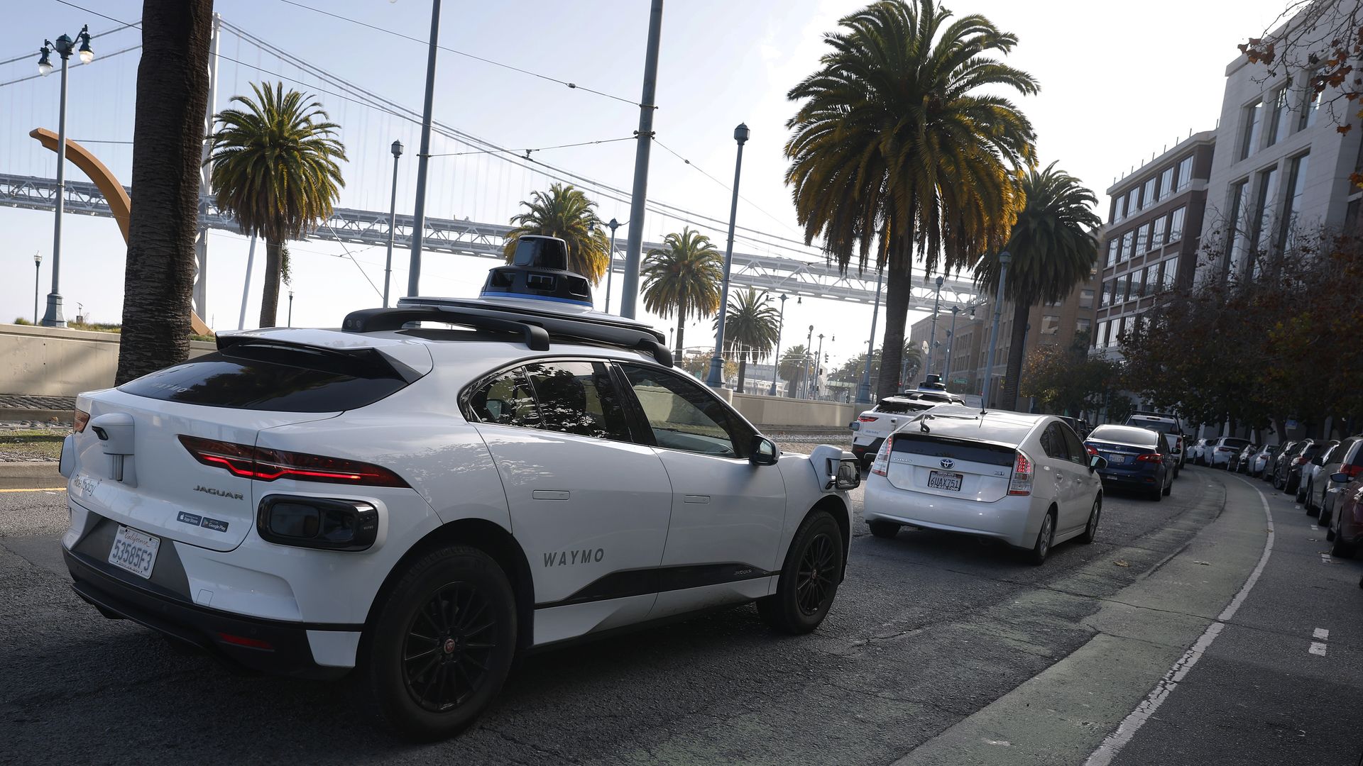A white Waymo self-driving Jaguar SUV with roof sensors sits on a city street, palm trees line the sidewalk, and other cars are parked along the curb under a distant bridge.