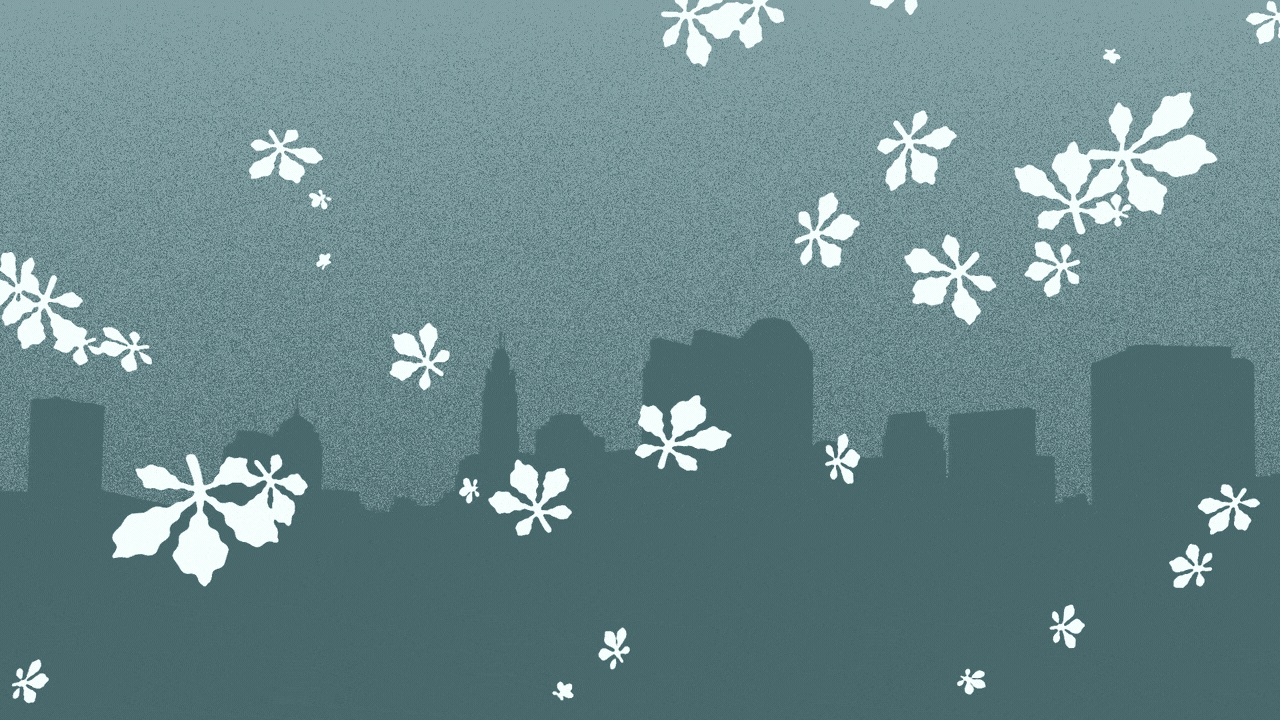 Animated illustration of the Columbus skyline with snowflakes in the shape of buckeye leaves falling on it.