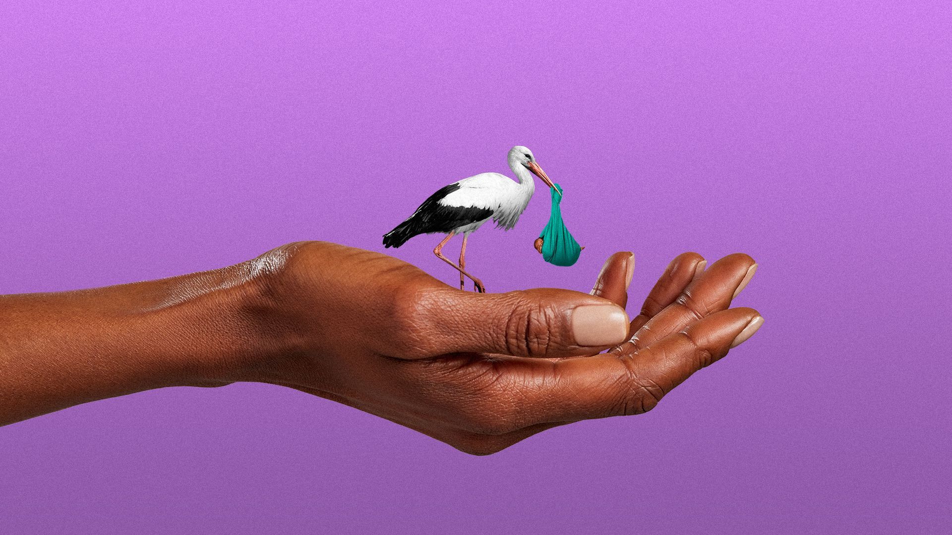 Illustration of a woman's hand holding a stork and baby.